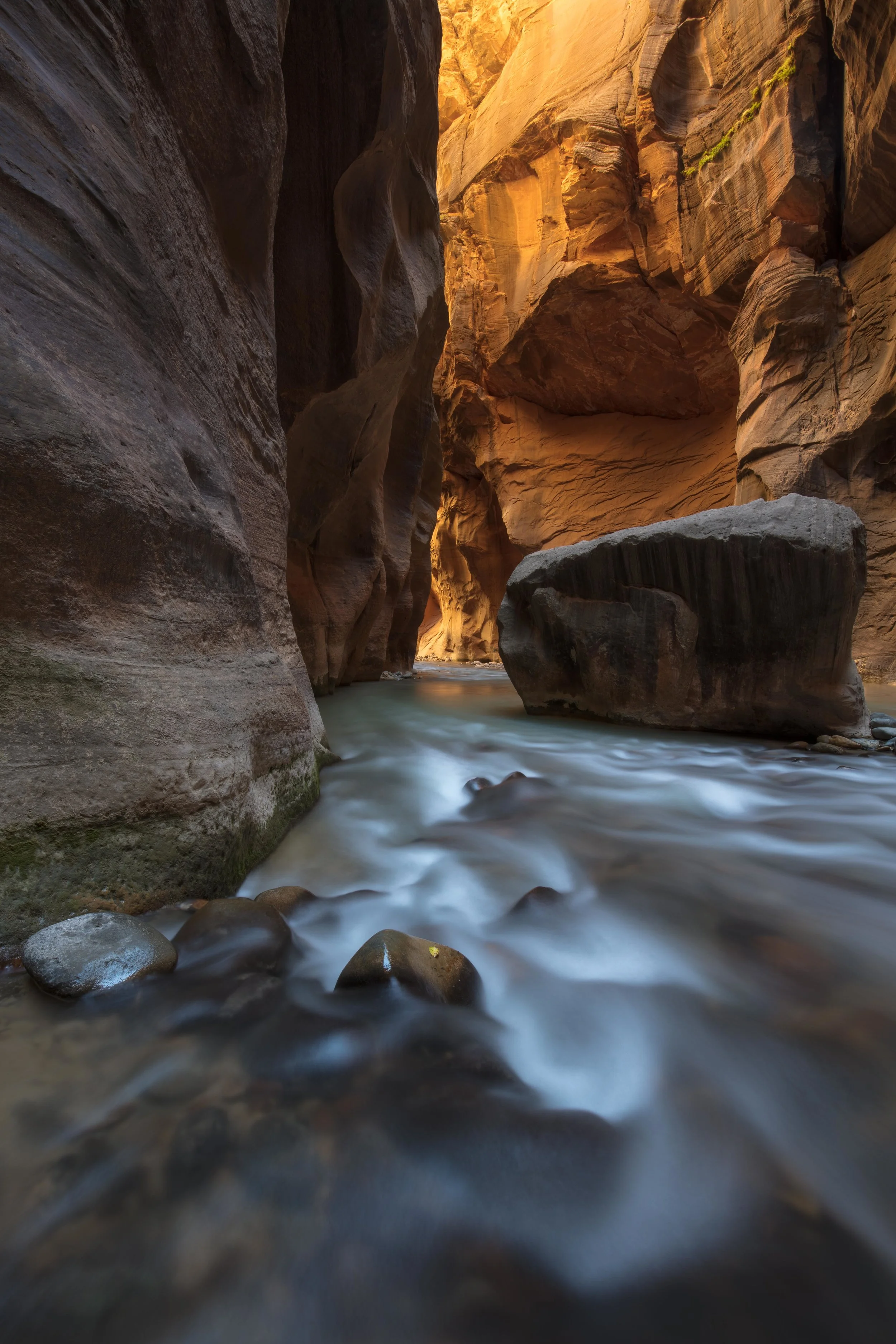zions the narrows small james glacier-1.jpg