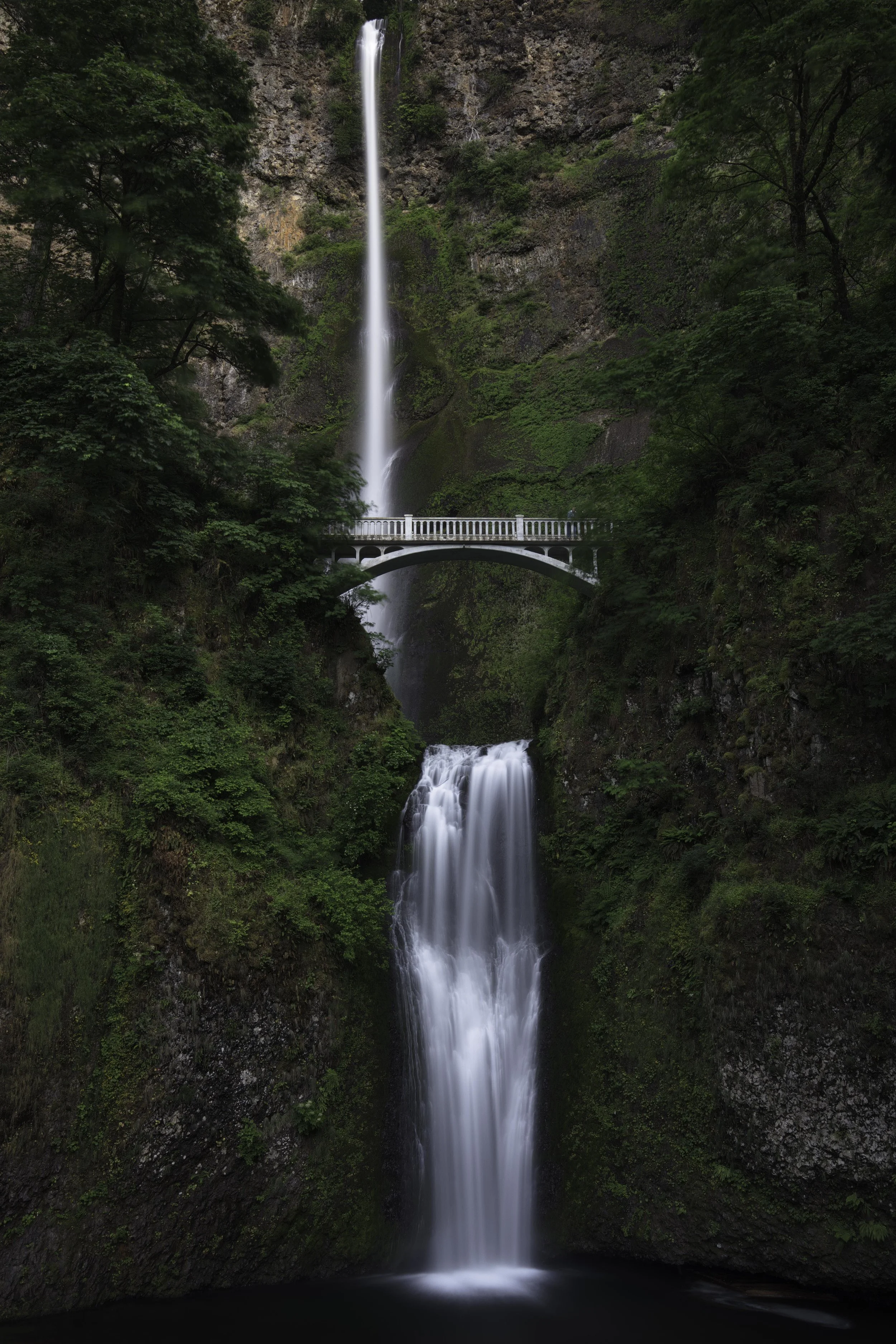 multnomah falls james glacier.jpg