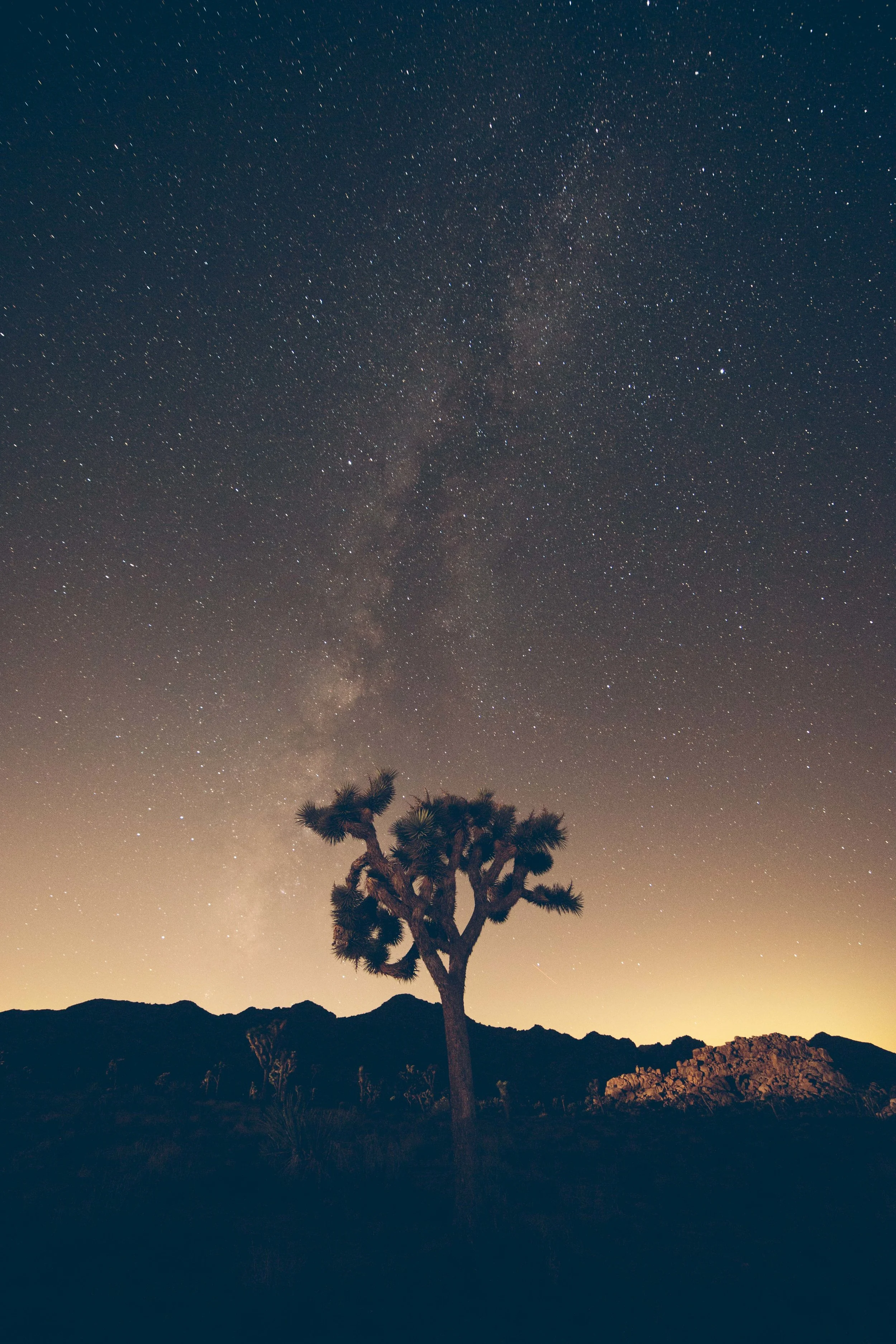 Joshua Tree James Glacier Photography 2018-24.jpg