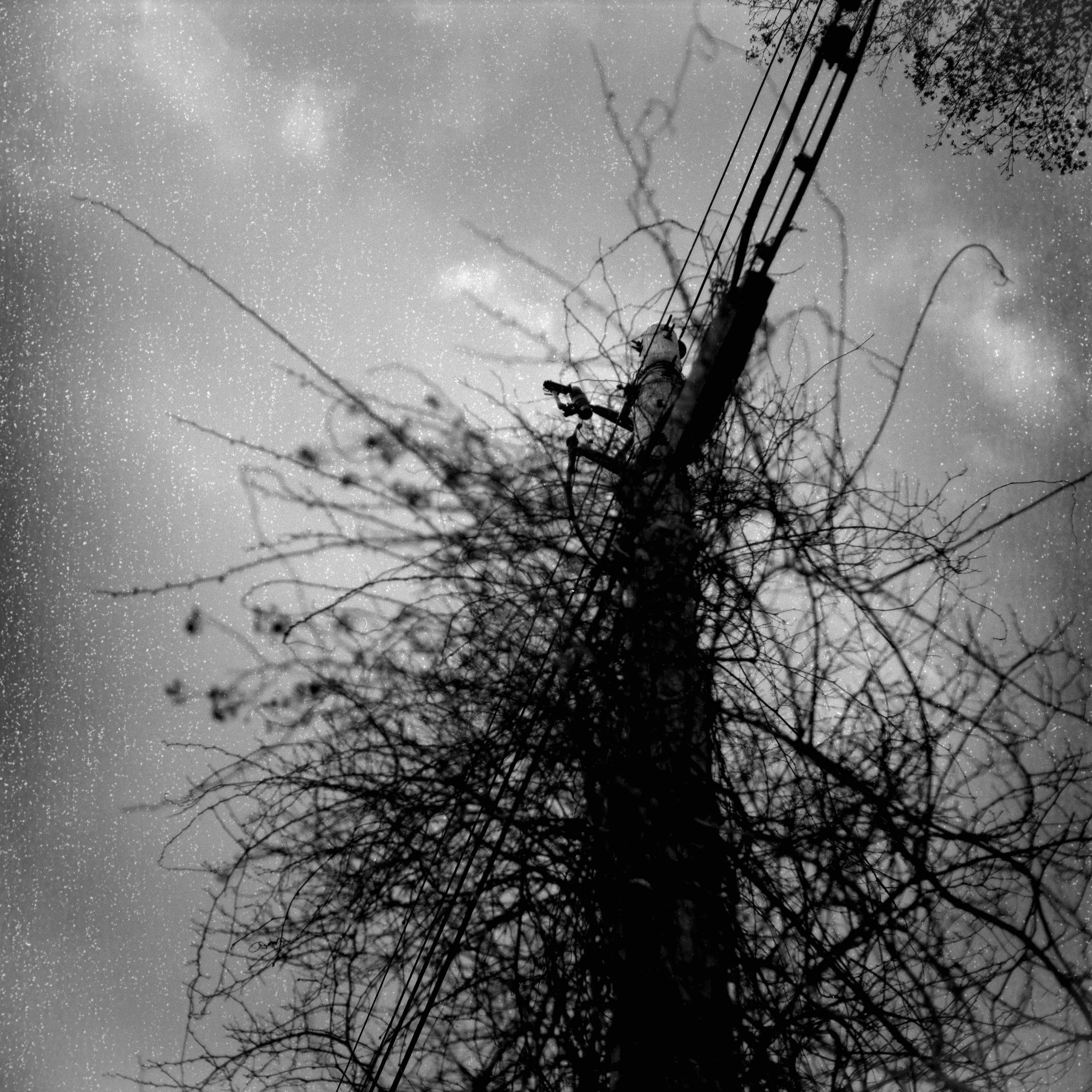 web00-24.jpg