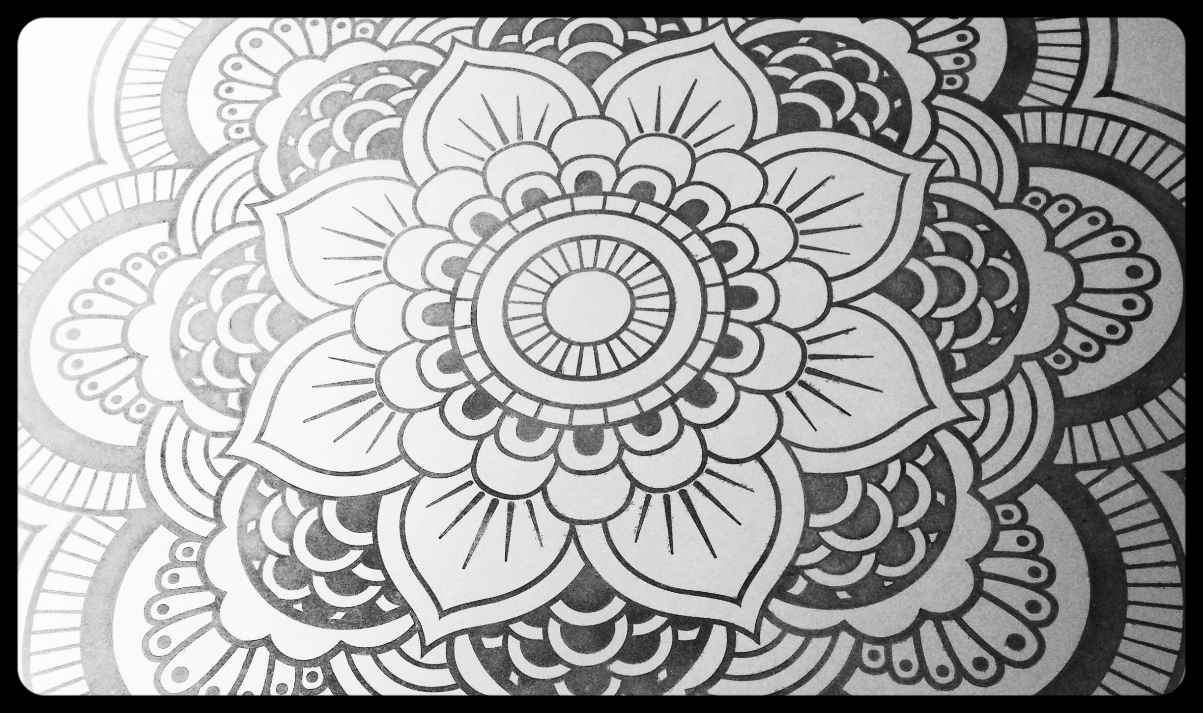 IMG_5736 cropped reduced.jpg