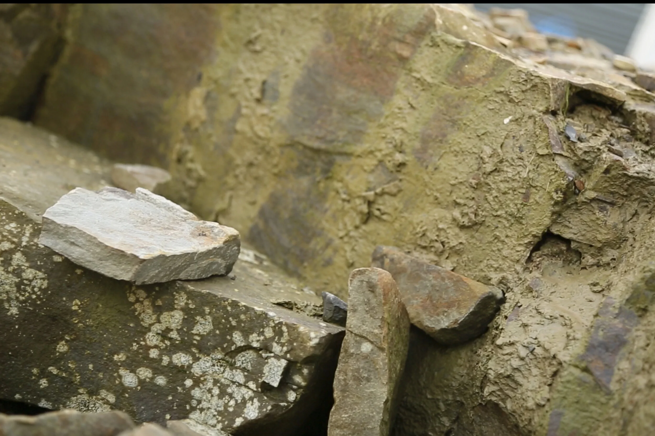 Wolfhill1001 edited1.jpg