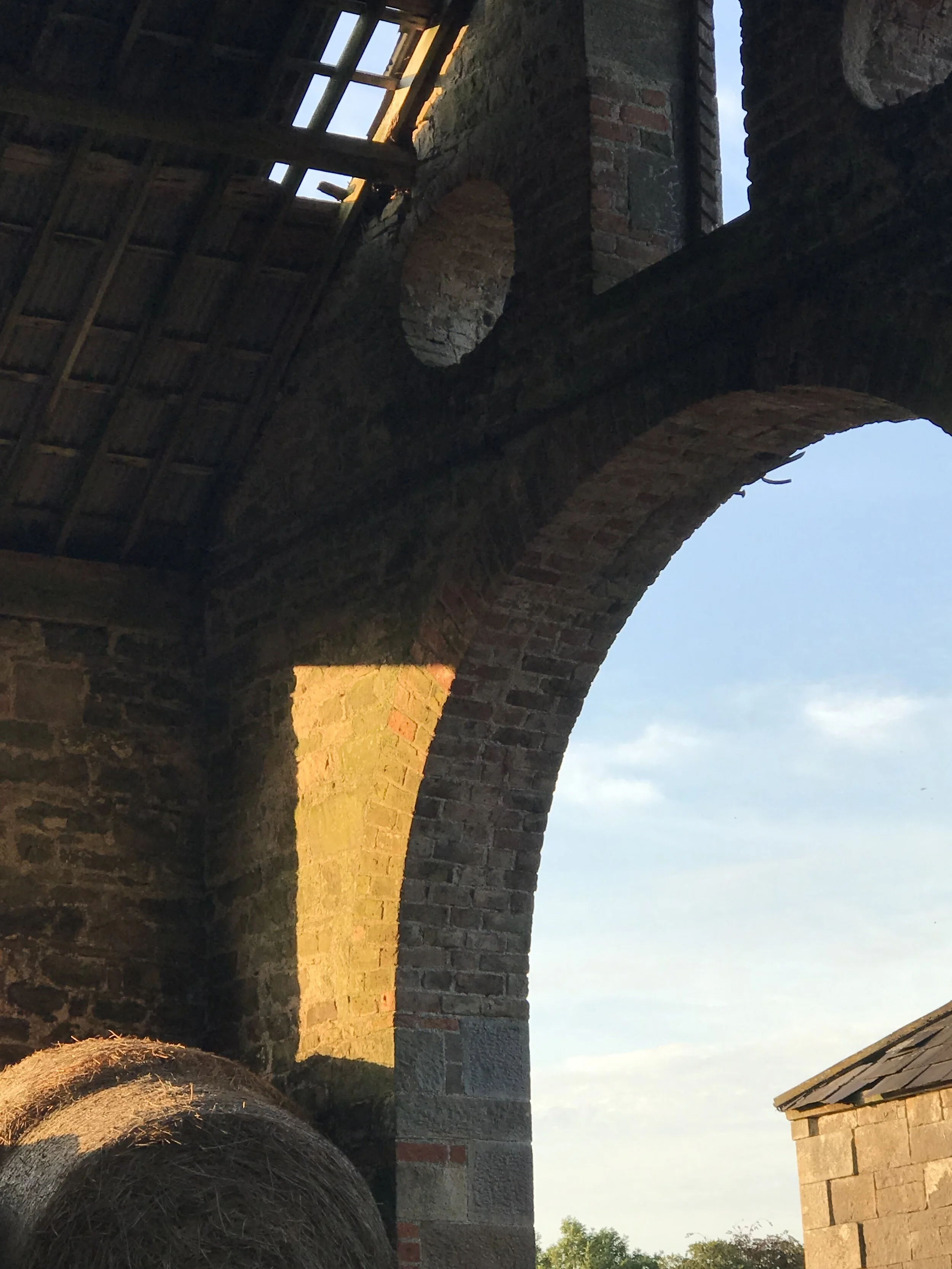 2019-07-26 20.34.47.jpg