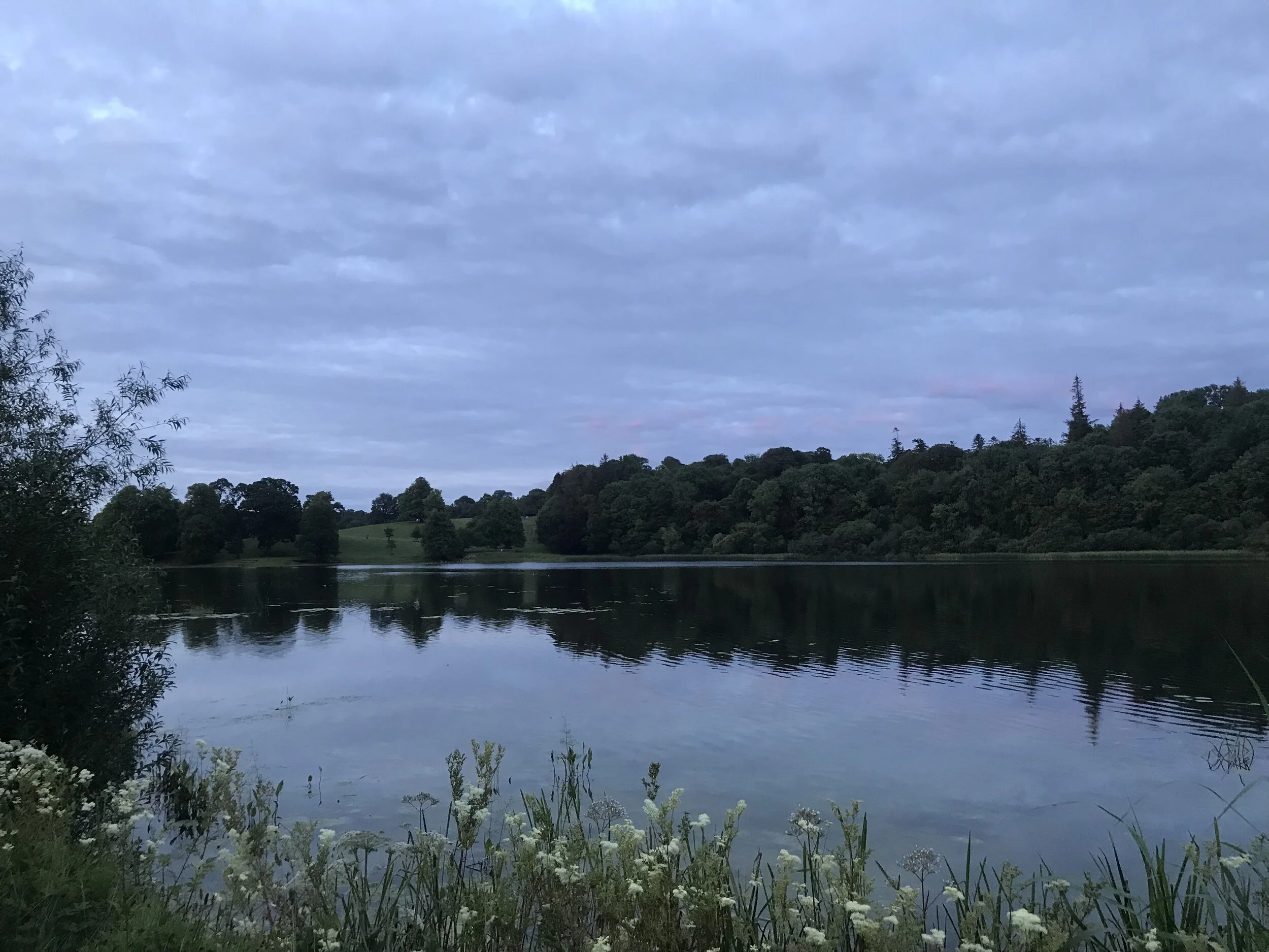 2019-07-26 21.38.44.jpg