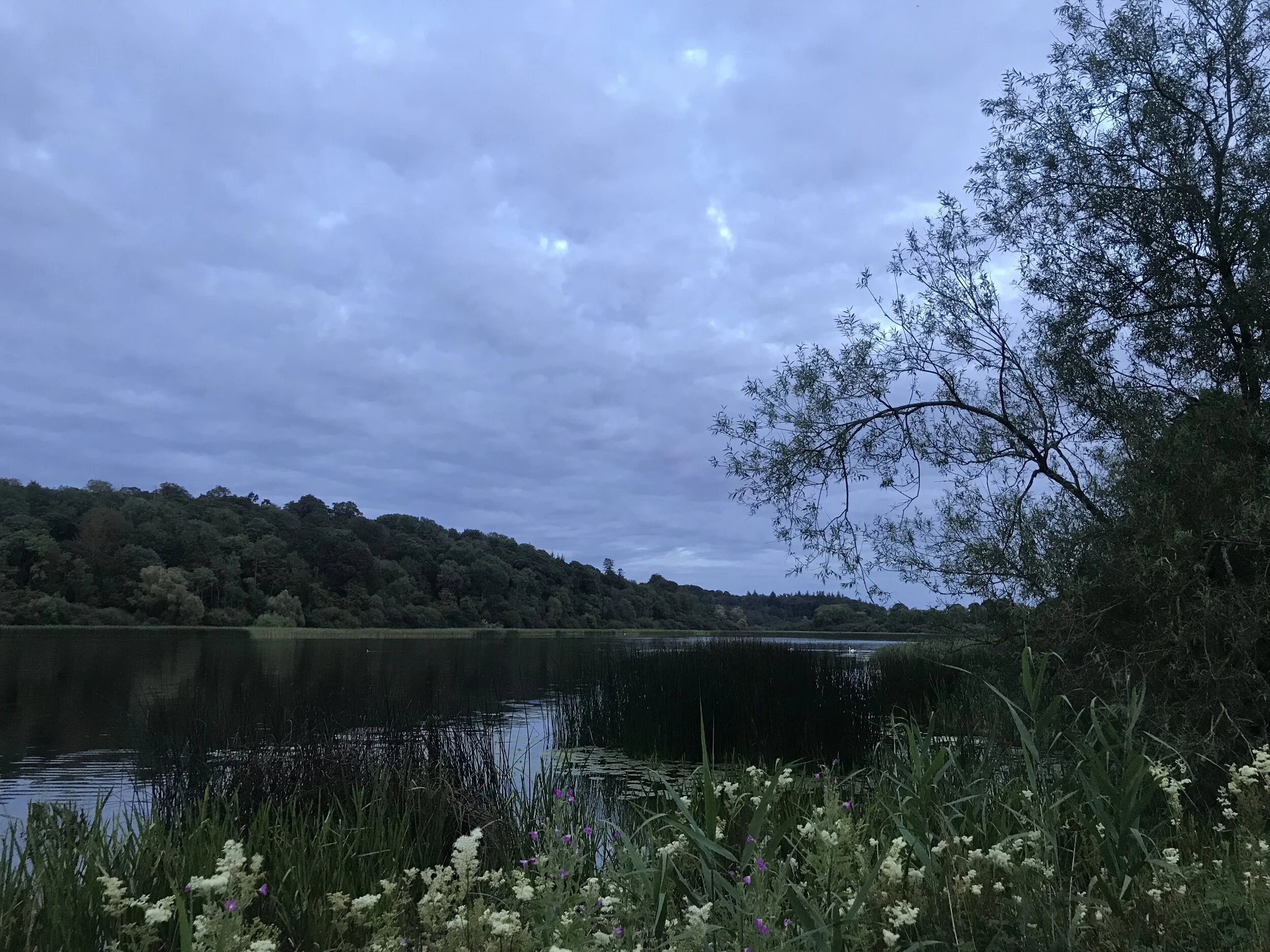 2019-07-26 21.38.54.jpg