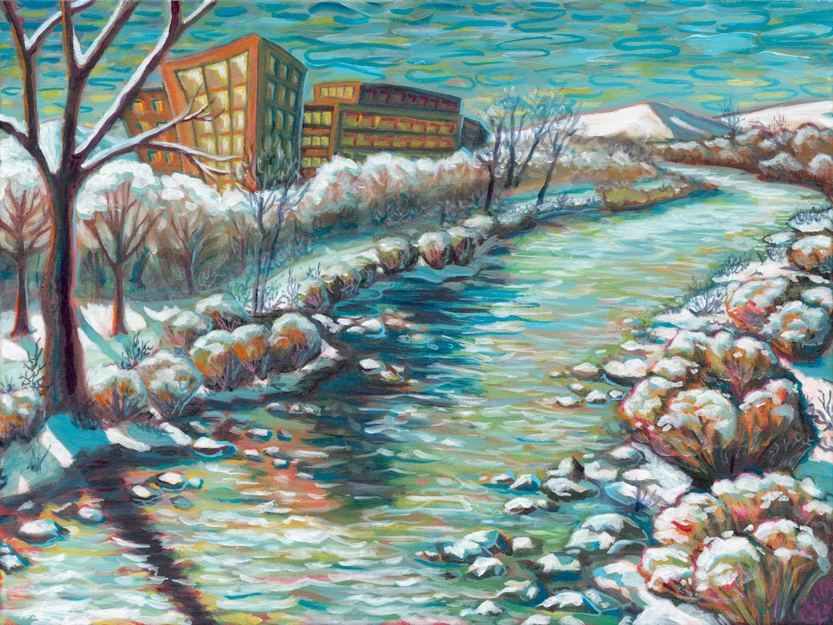 Boise River Winter