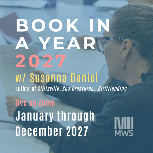 Write a Book in a Year 2027 / live on Zoom