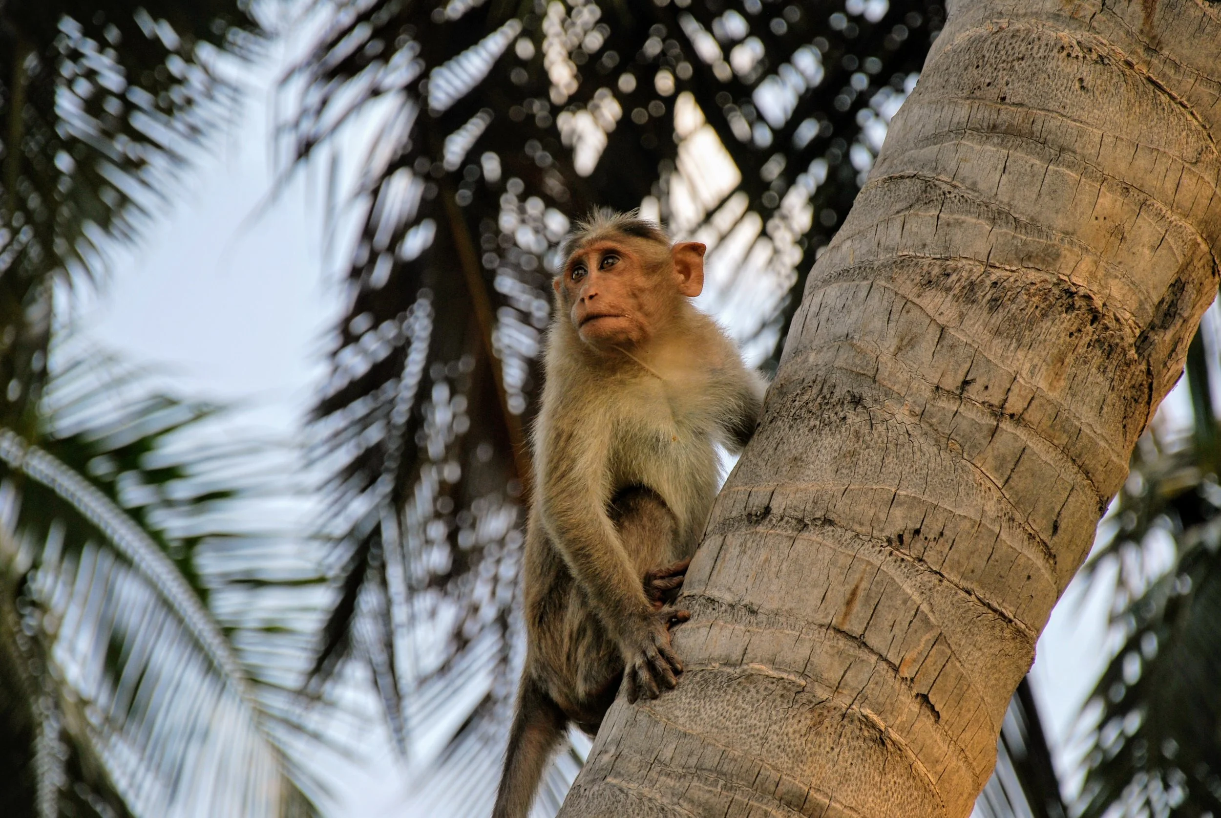 DSC_0002.jpg