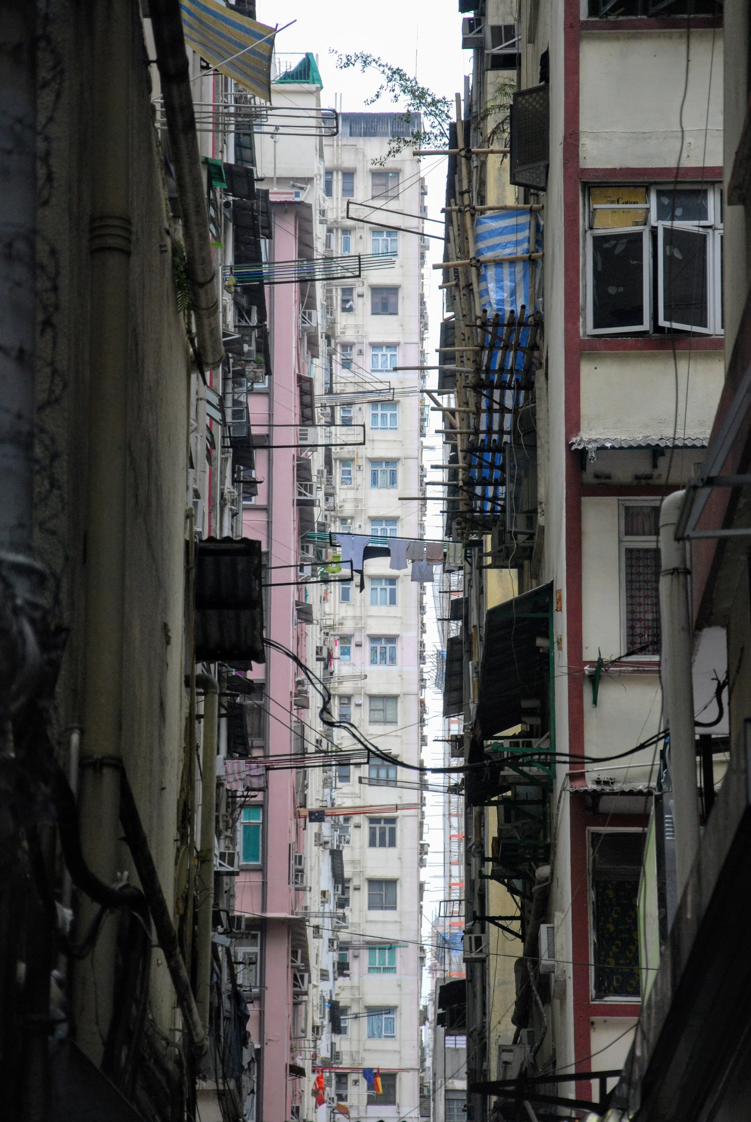 DSC_0168.jpg