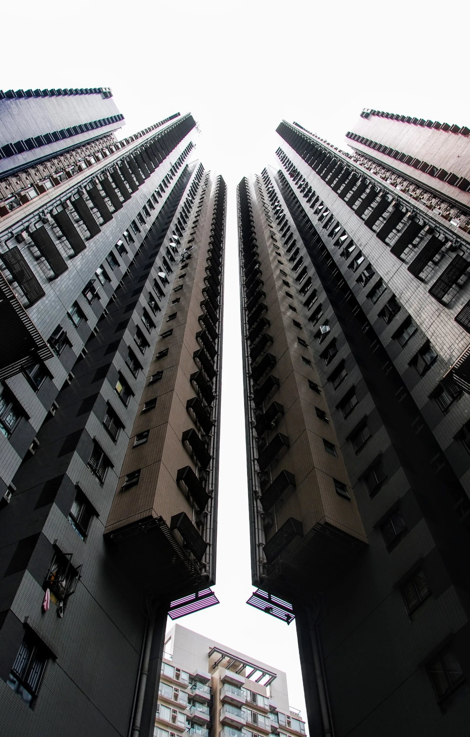 DSC_0298.jpg