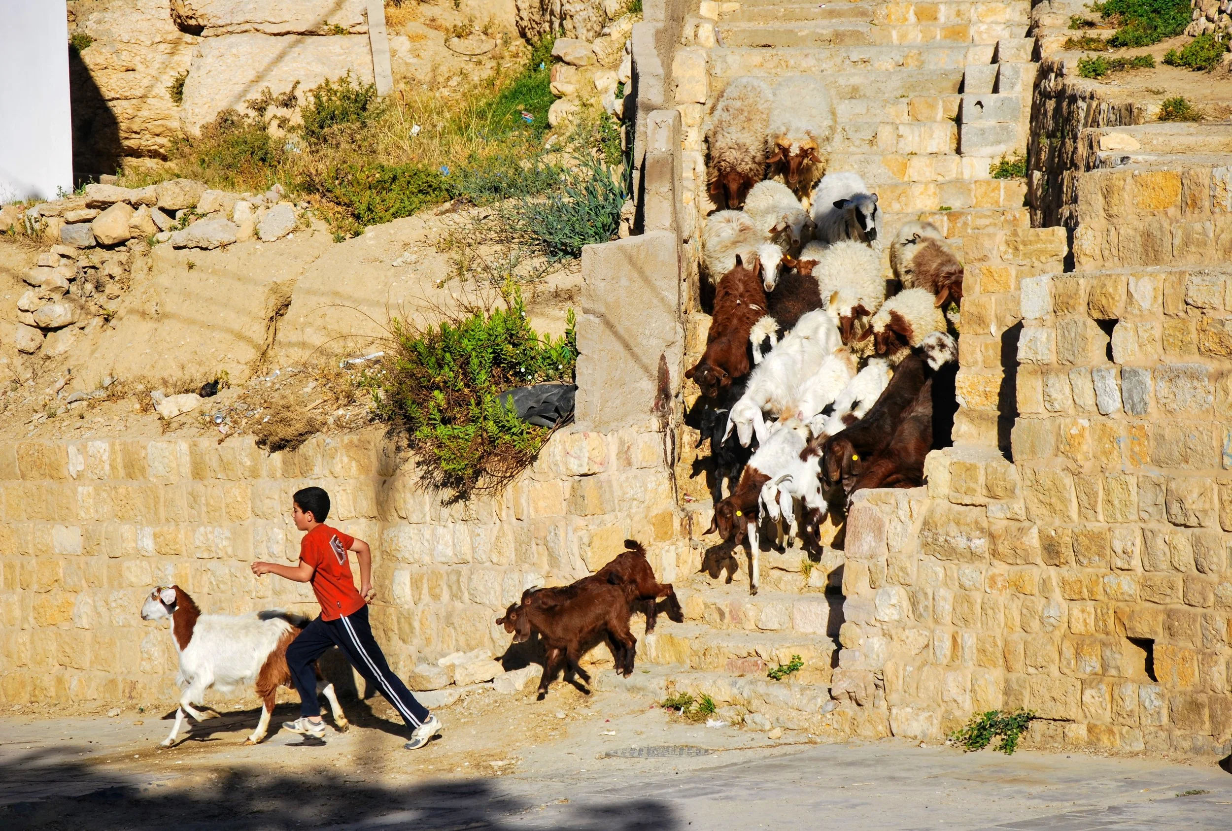 jordan_05_2010 020.jpg
