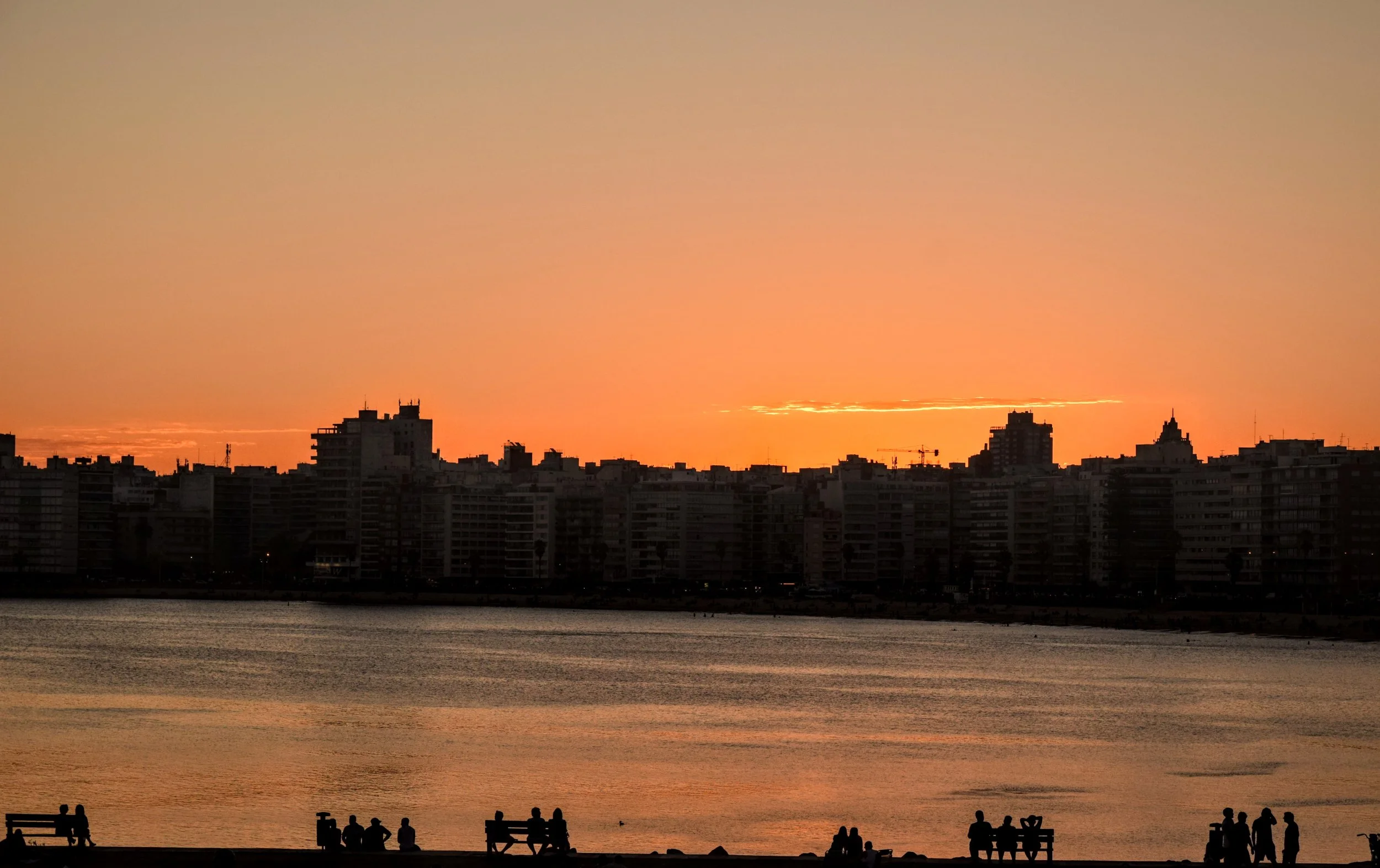 DSC_0567.jpg
