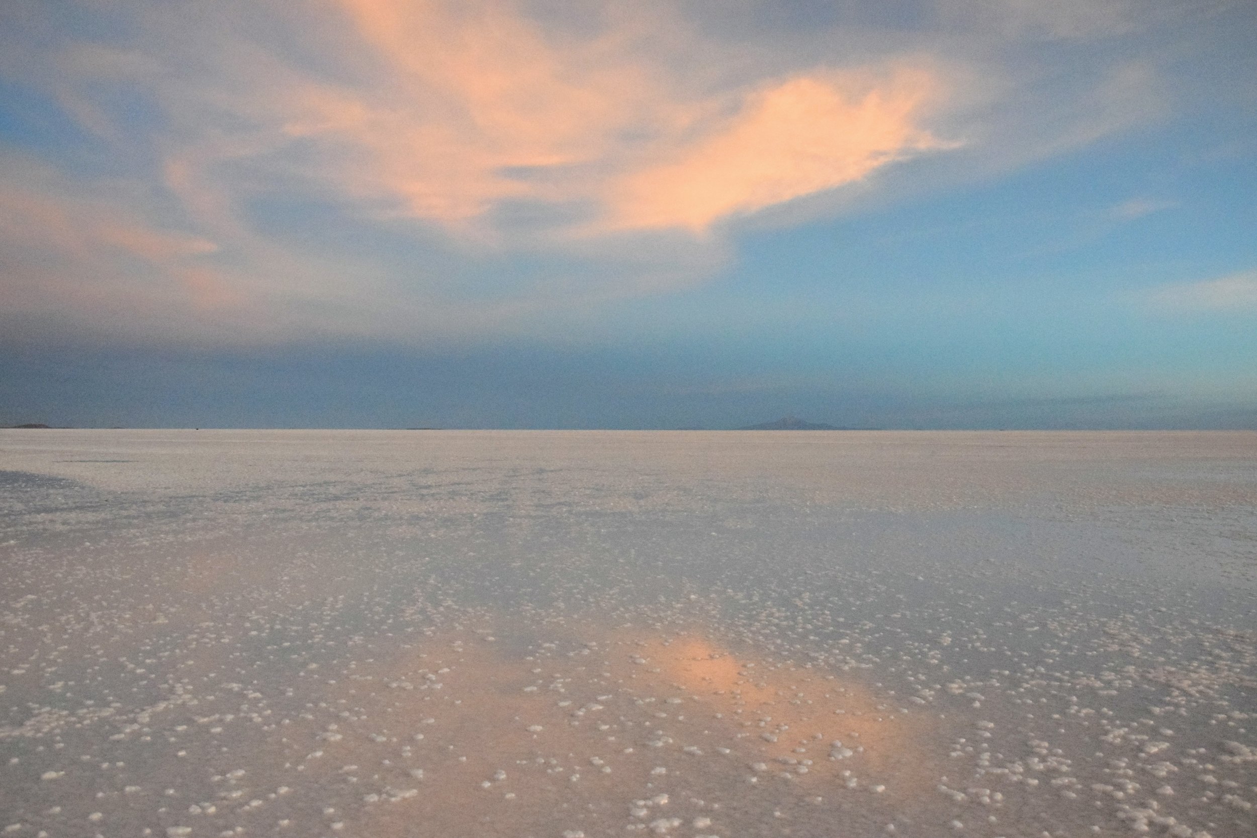 DSC_0705.jpg