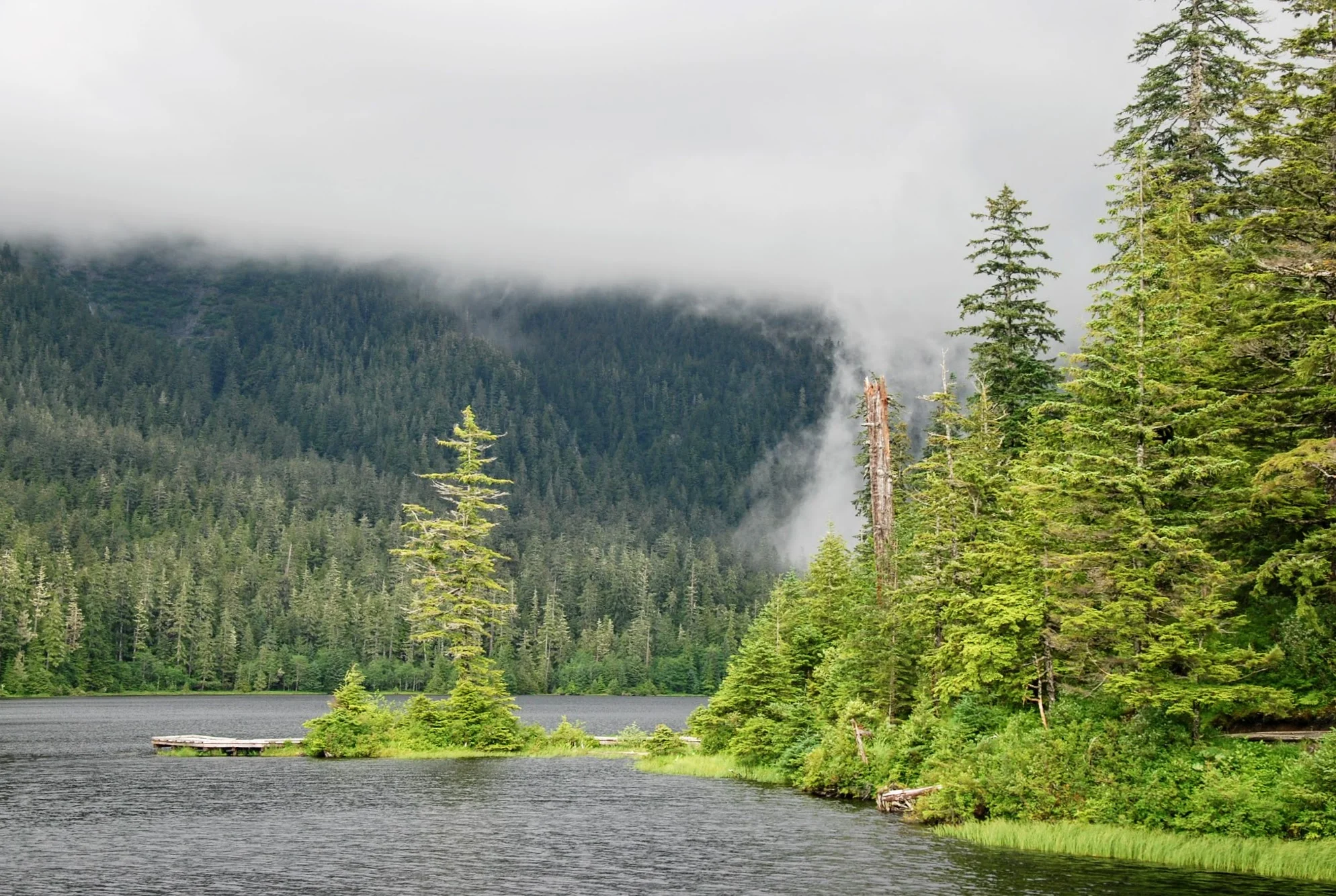 DSC_0062.jpg