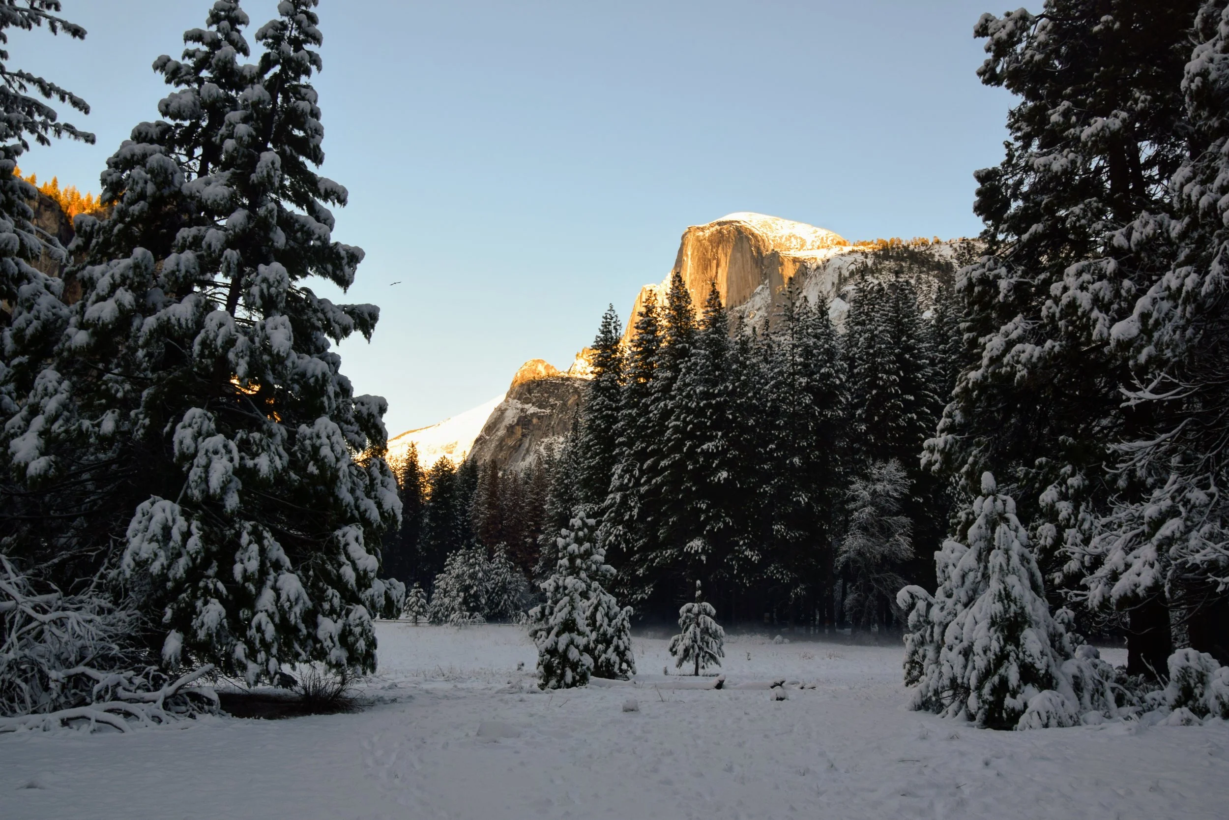 DSC_0960.jpg