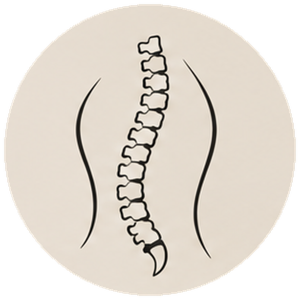 Chiropractic Care