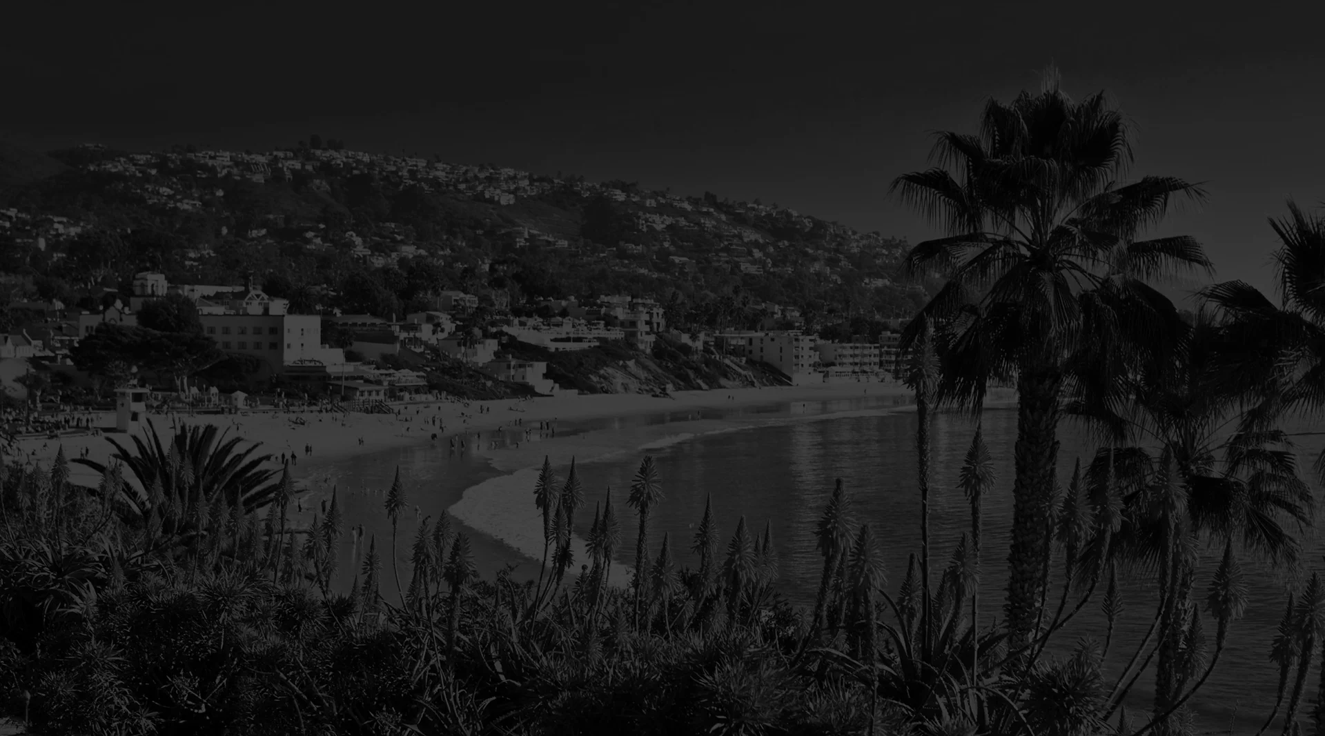 coastline-view-of-main gray.jpg