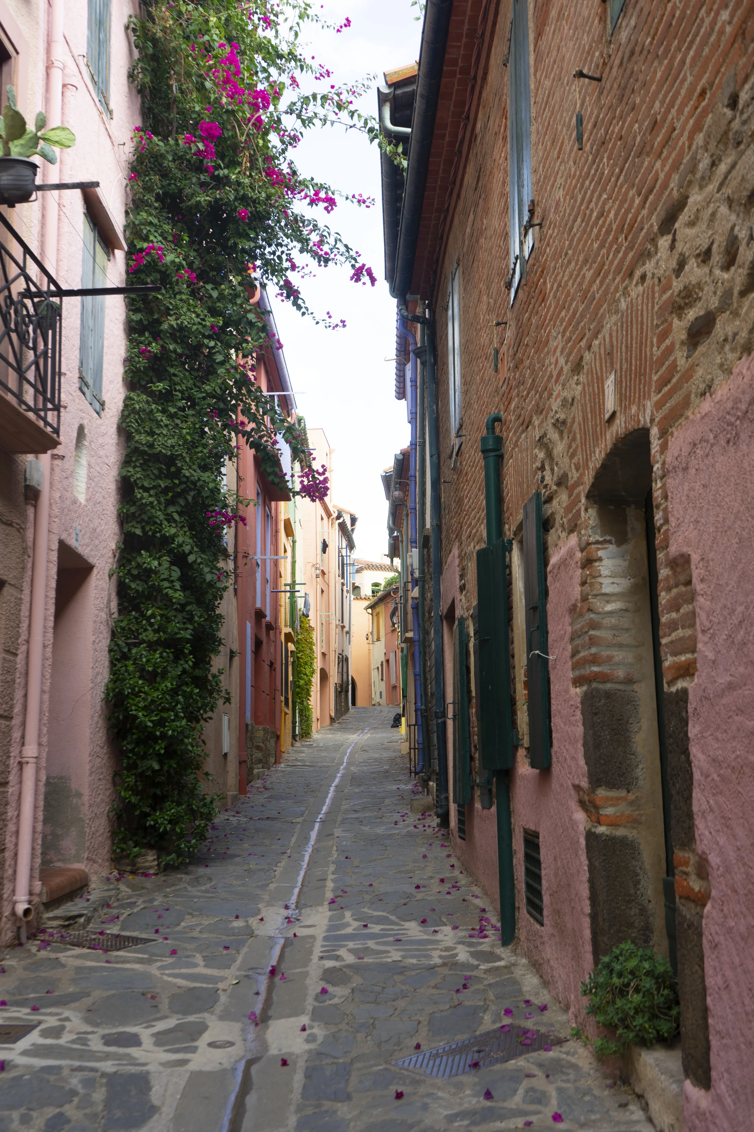 DSC02826.jpg