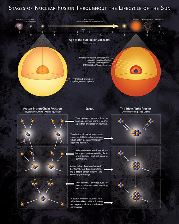 Stages of Nuclear Fusion in the Sun