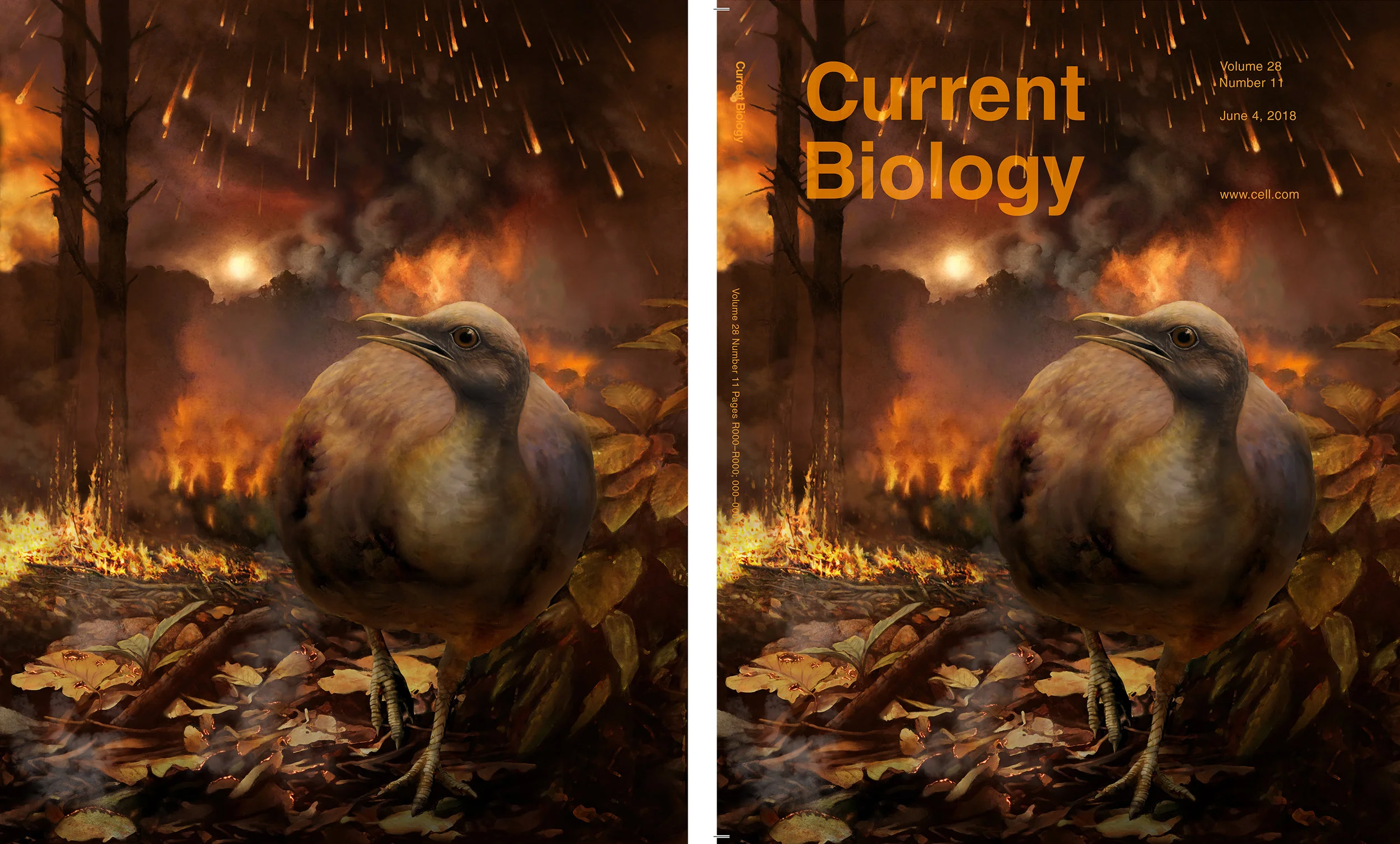 End-Cretaceous Forest Collapse