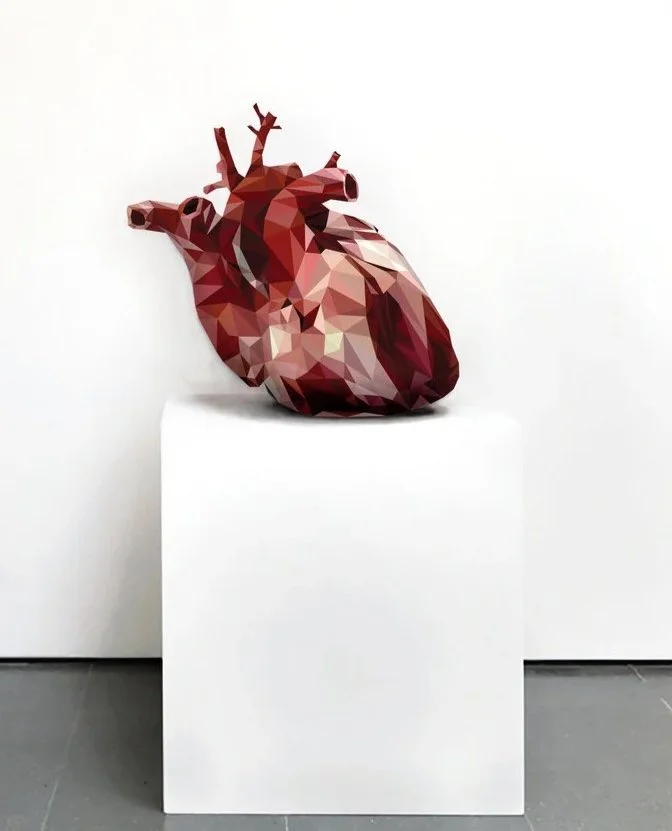 Digital Installation