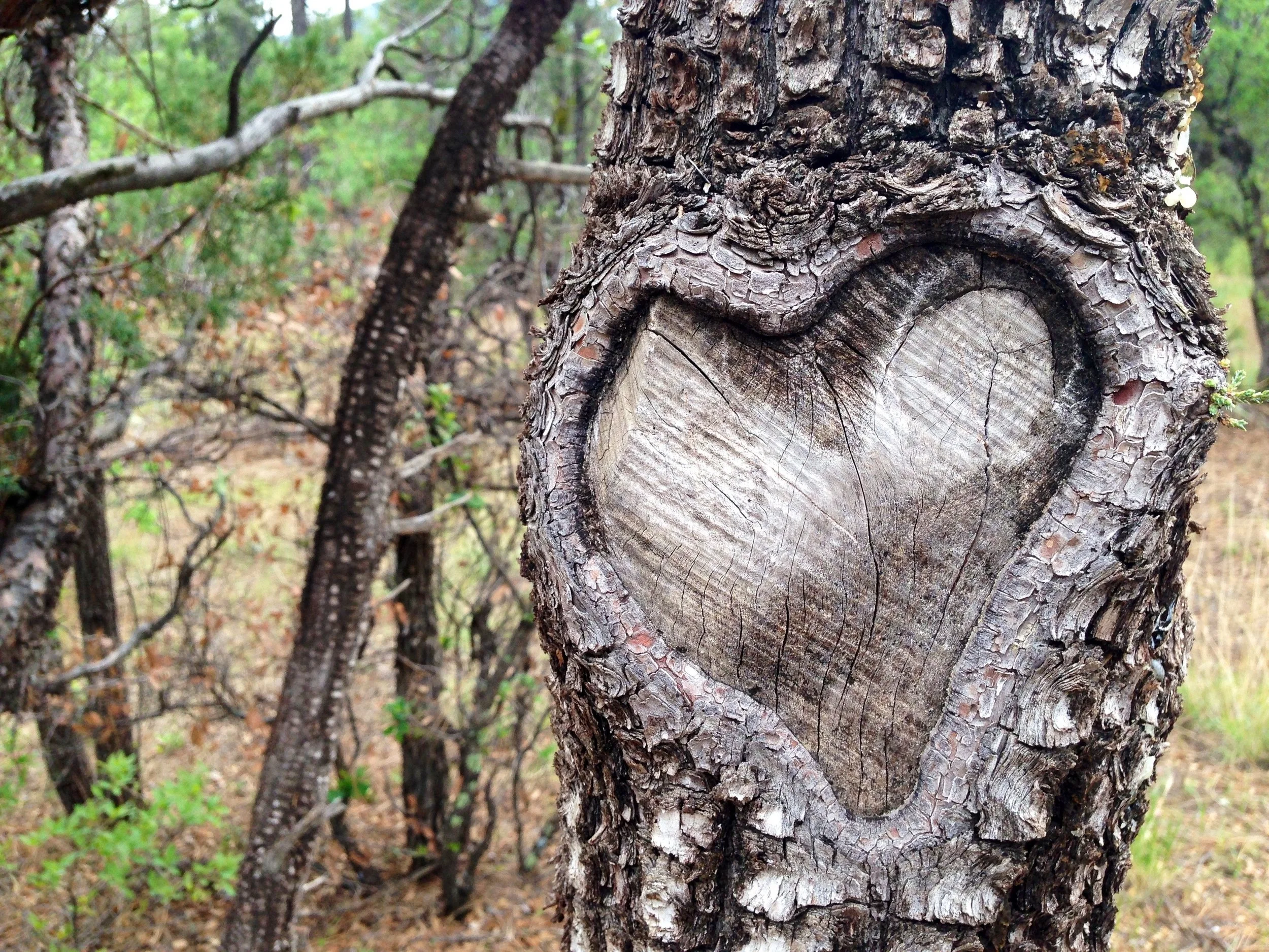 LOVE LETTER