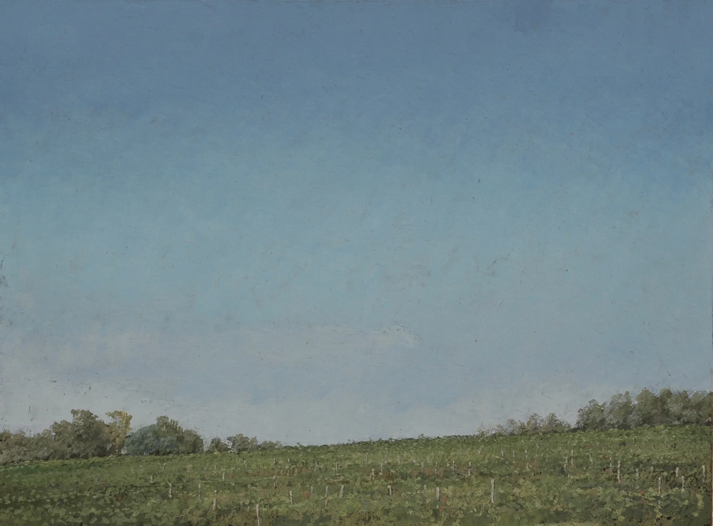 2. vigneto e cielo, Toscana.JPG