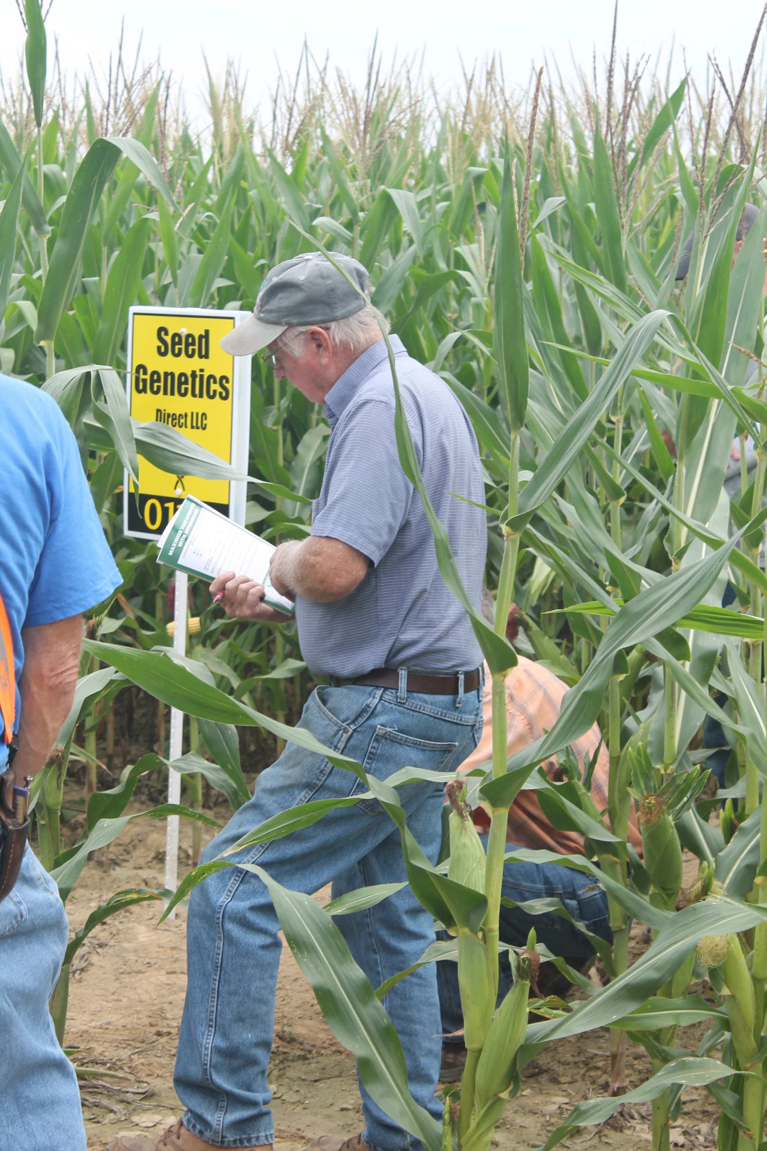 Field Days held as scheduled 