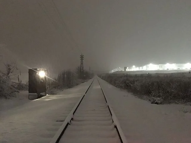 My usual 15-minute morning commute turned into an hour because I kept stopping to take photos of the beautiful snow. 
If you're biking in it, stay on the fresh snow as much as possible. It has the best traction. Second best is in the tracks of a car/