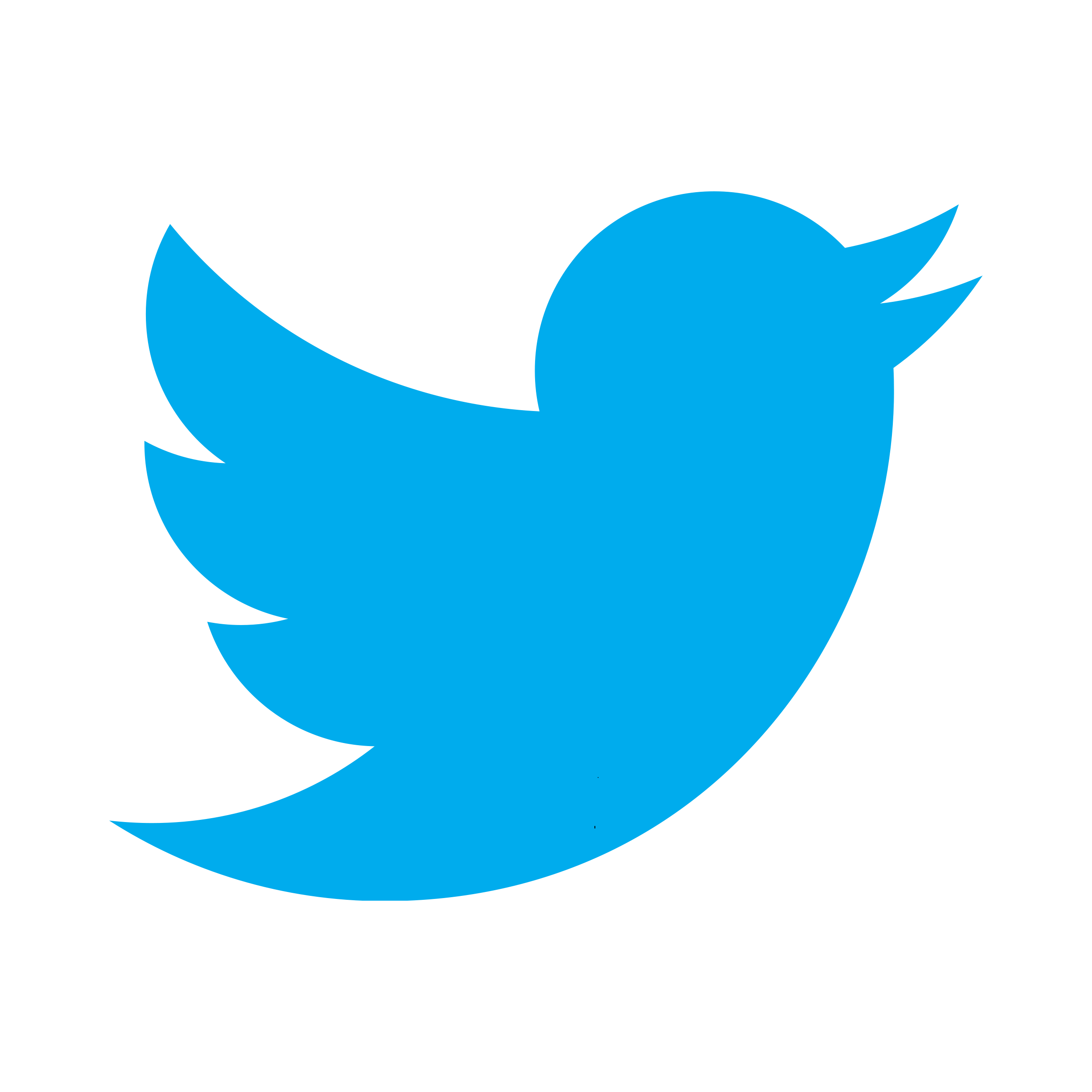 Twitter Logo.png