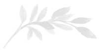 floral.png