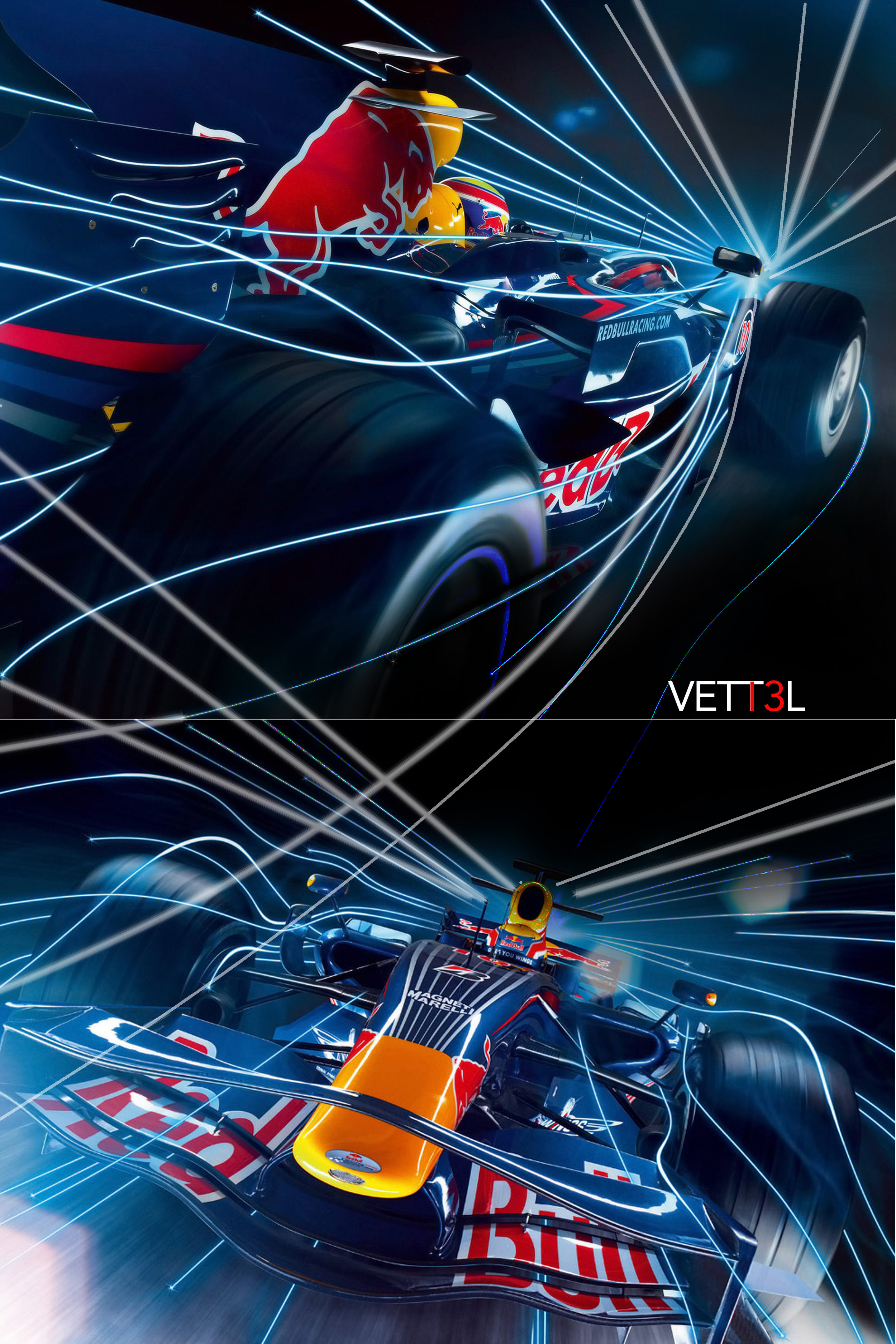 2013 Vettel.jpg