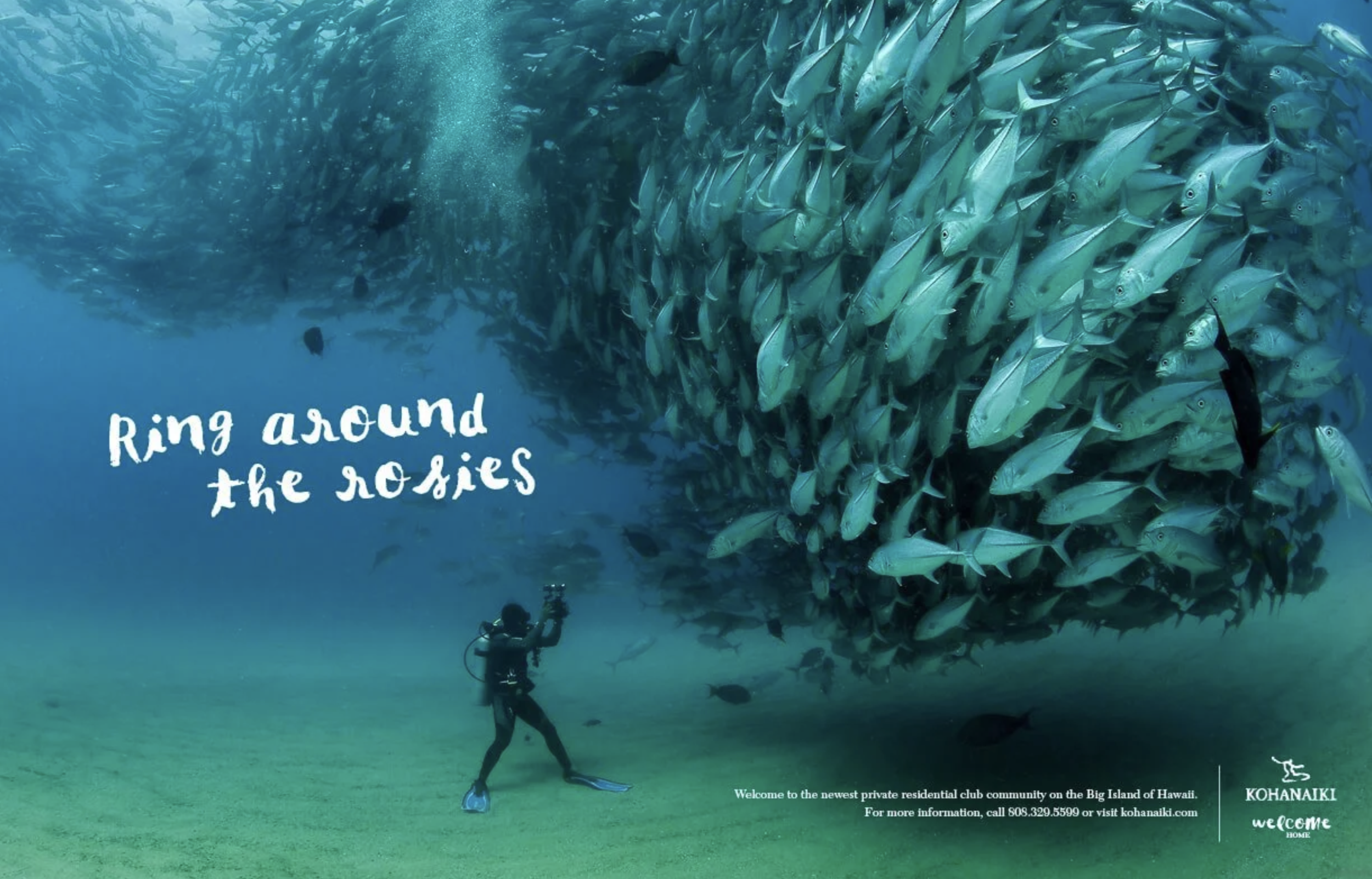 Screenshot 2026-02-23 at 09.25.15.png