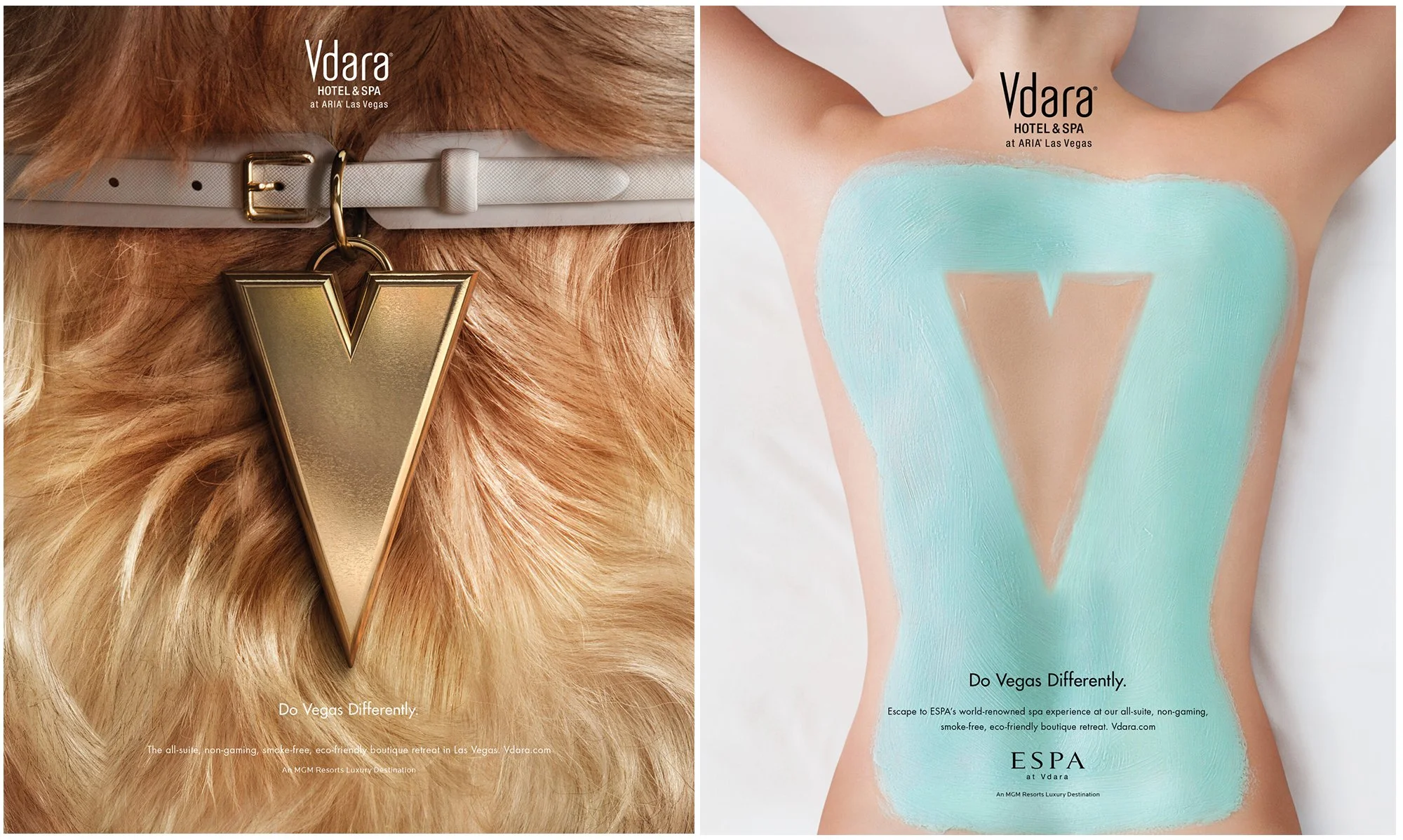 VDARA 2.jpg