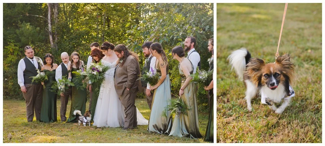 bride's dog runs up to the wedding party to get in some photos