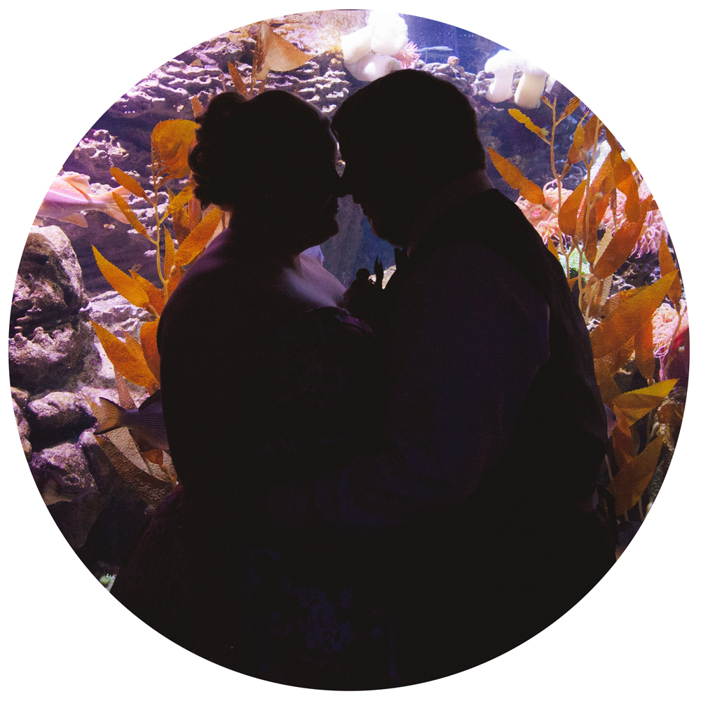 New England Aquarium Wedding || Brian and Alison