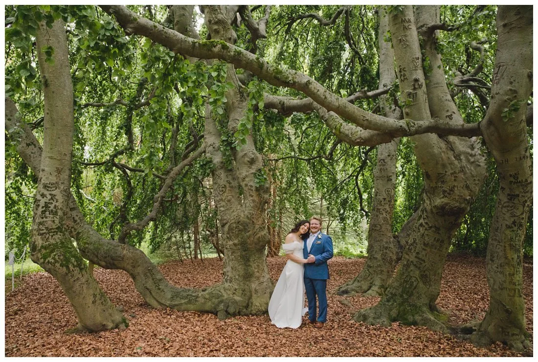 tara and connor under the big willow tree