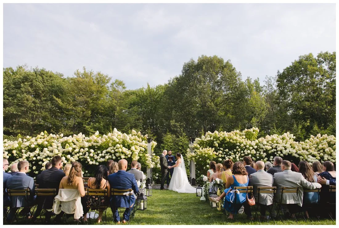 beautiful wall of hydrangea bushes creates a natural focal point for wedding ceremony backdrop with iron arbor at the center