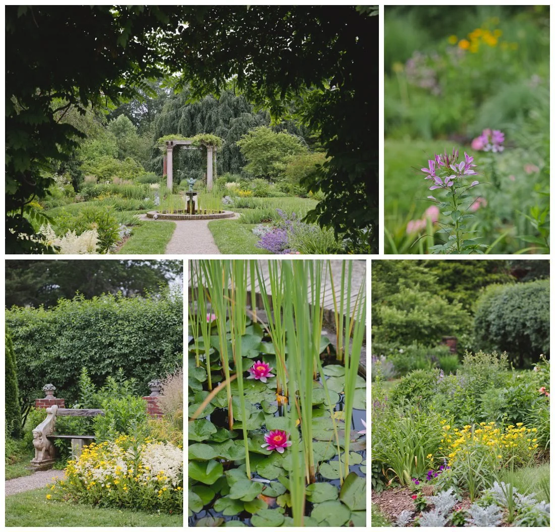 june gardens in danvers massachusetts