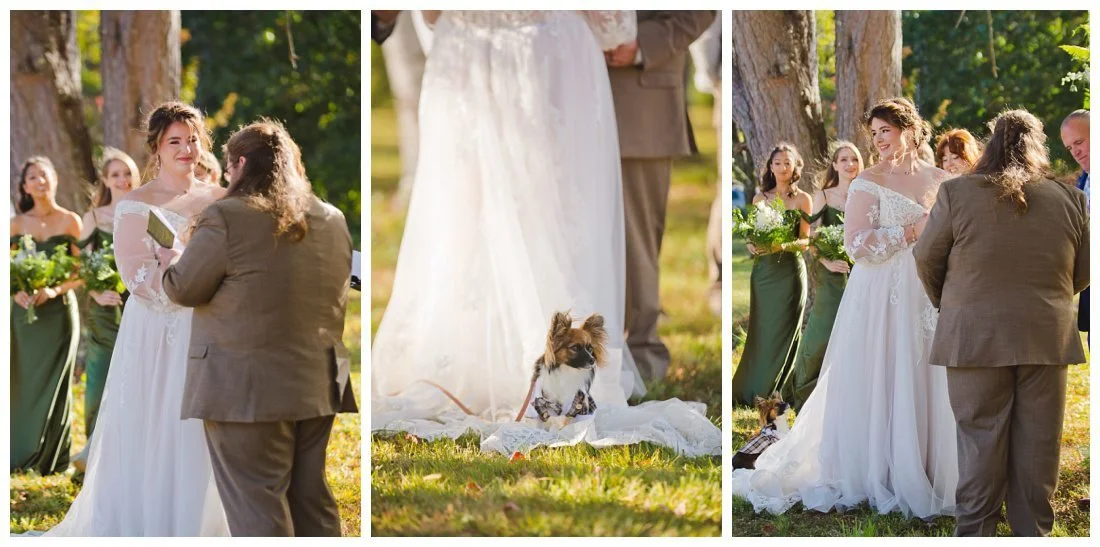 bride listens to groom's vows, close up of their dog at her feet standing on her dress train
