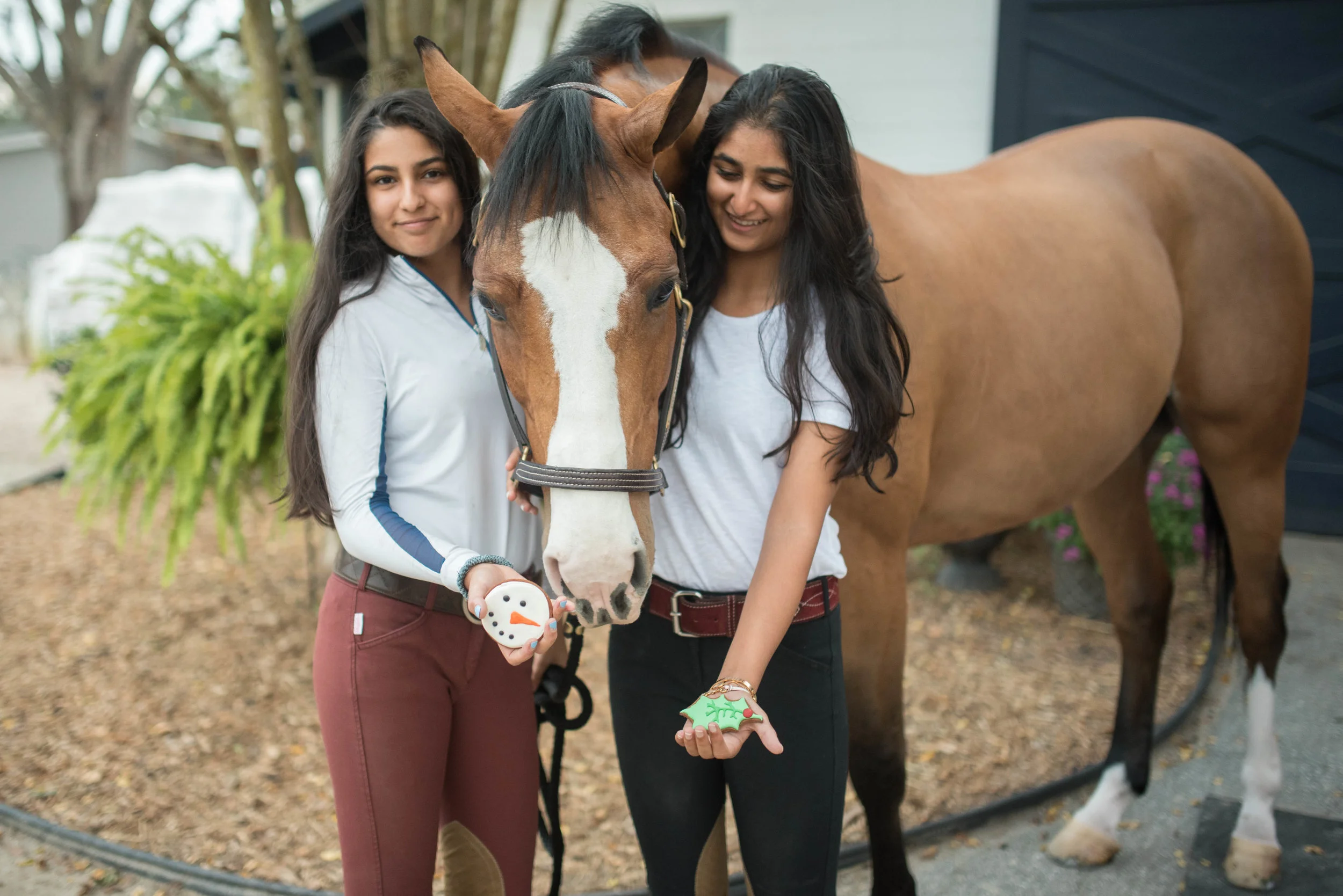 Thank you to my adorable models (Left to Right) Raina, Fetch, Isha and Parker (pictured above)