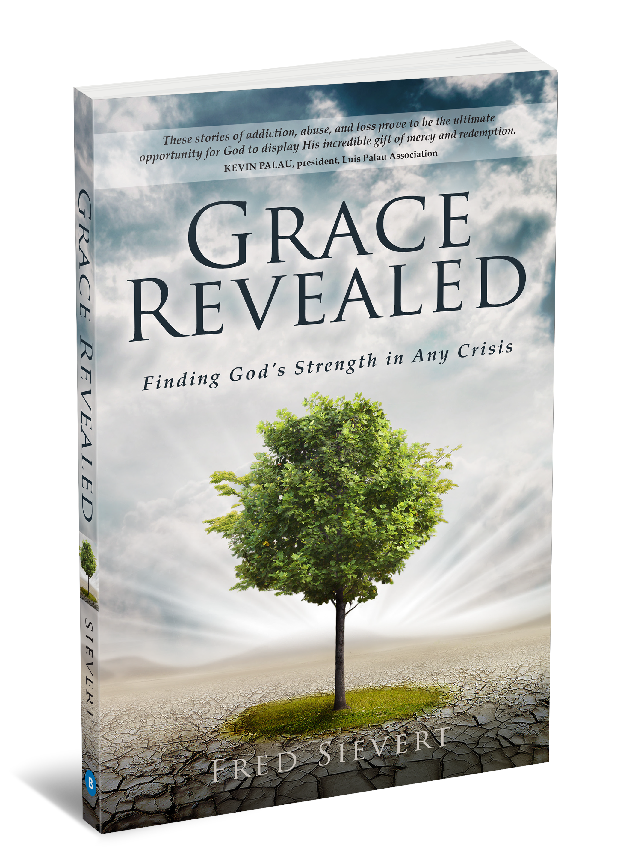 Grace Revealed 3D Cover.png