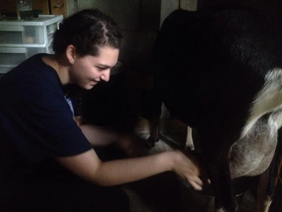 Ortal Milking.jpg