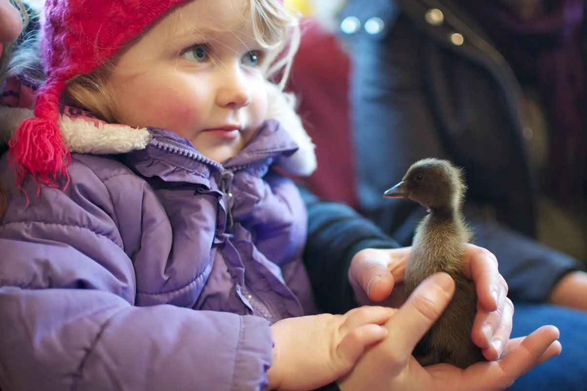 girl and duck 2.jpg