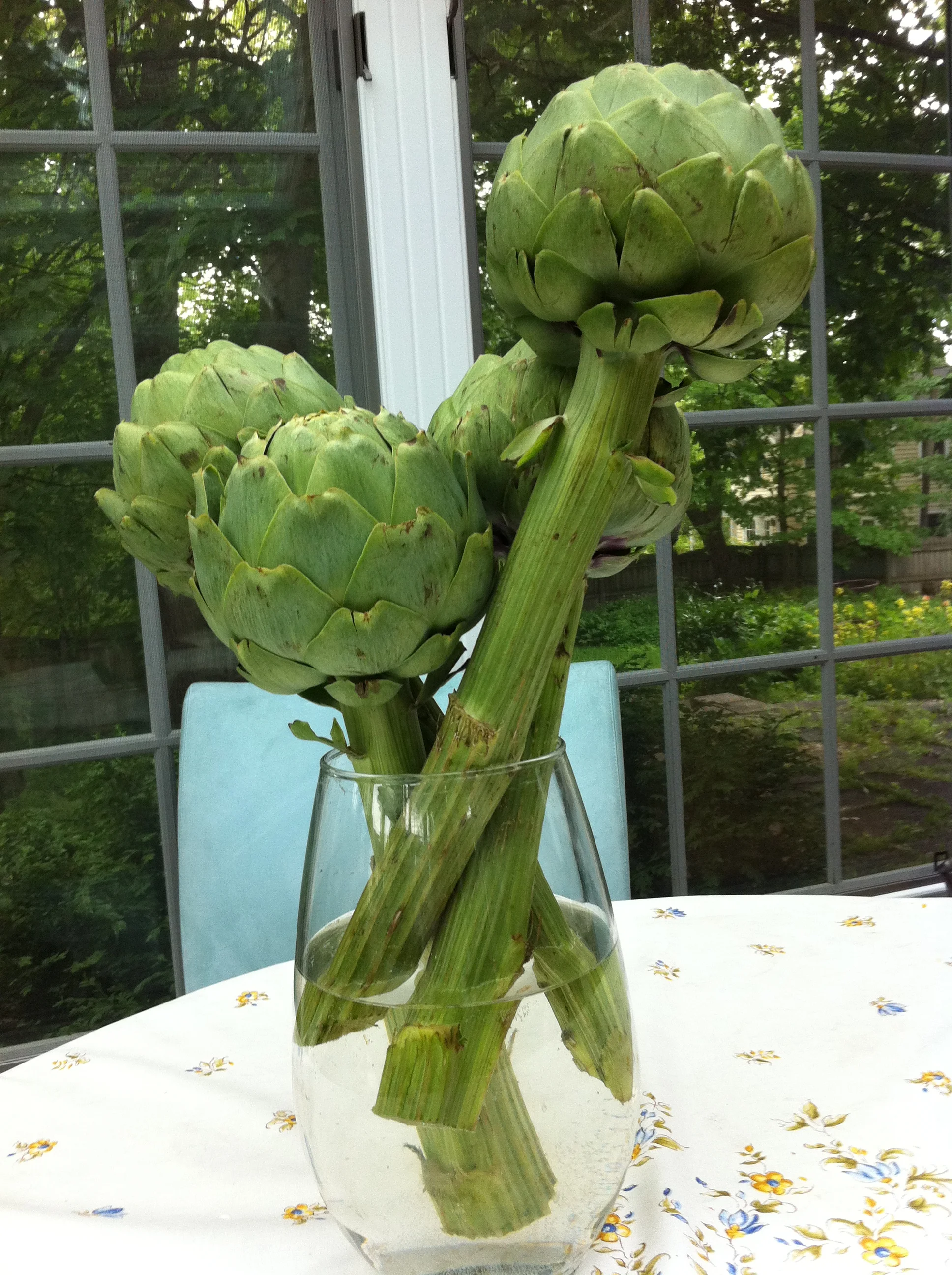 Trisha Phone Feb 13 307.JPG