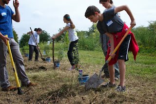 close up of students digging holes for blueberries.jpg