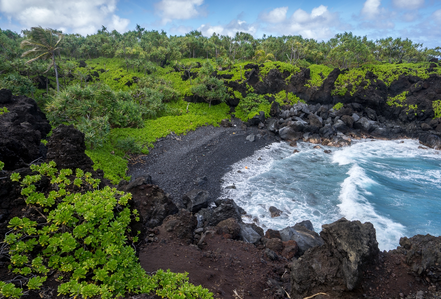 Maui Mar 2015-224-120.jpg