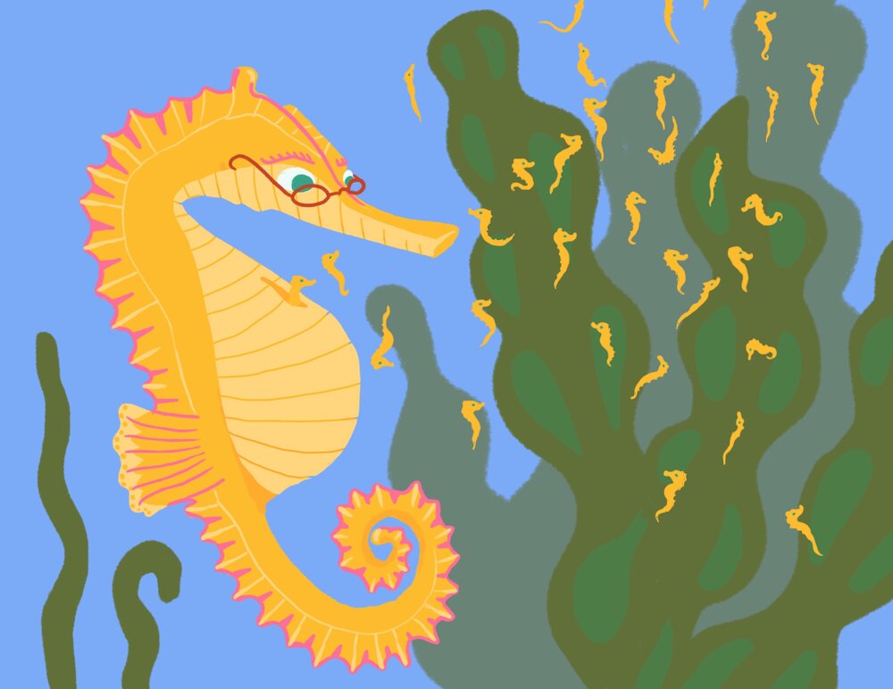 cool facts about animals — Blog — Eva Grello cool facts about animals — Blog — Eva Grello