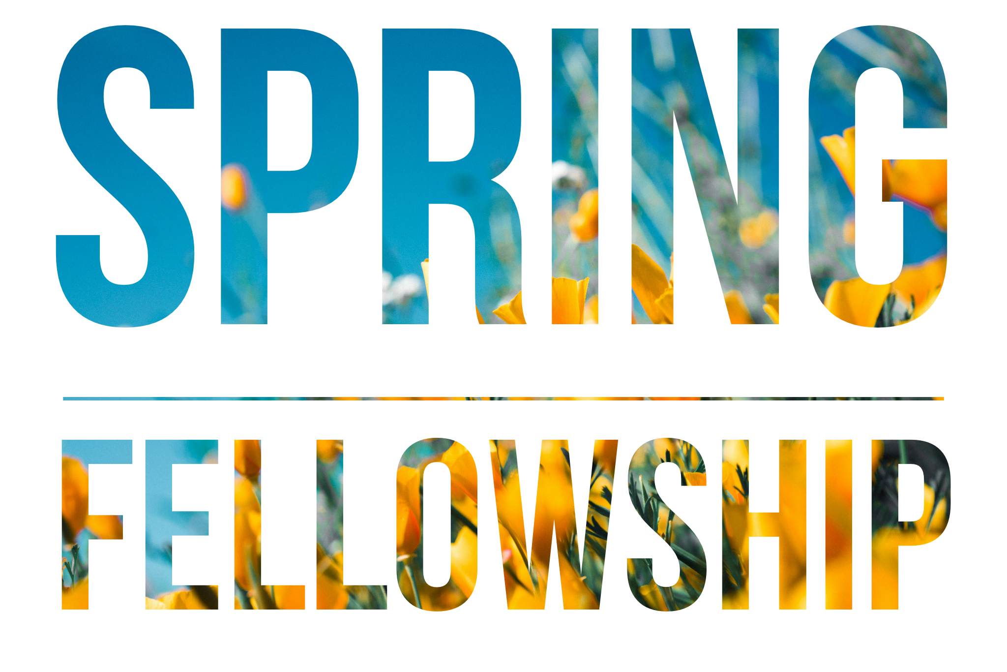Spring Fellowship
