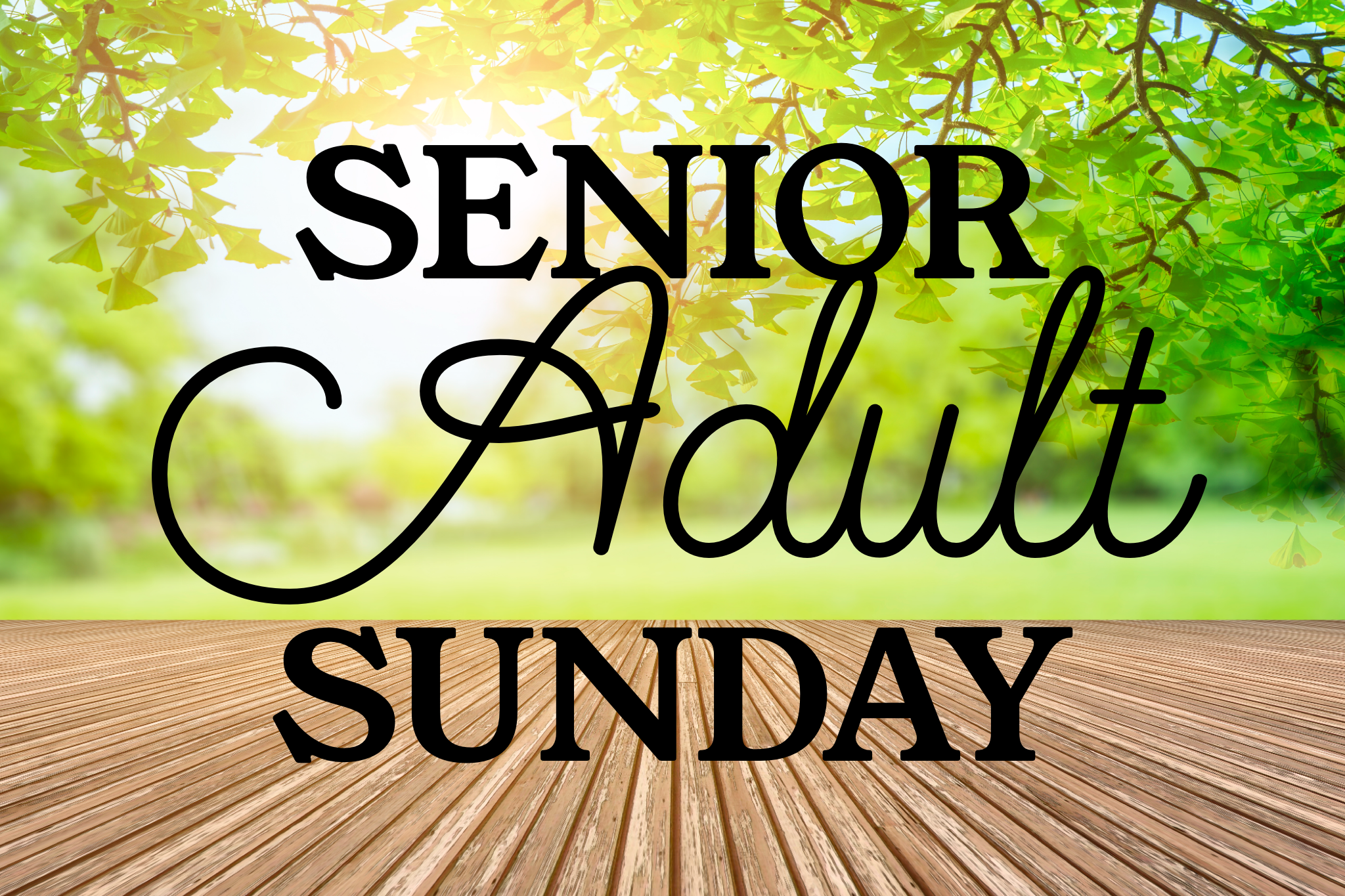 Senior Adult Sunday